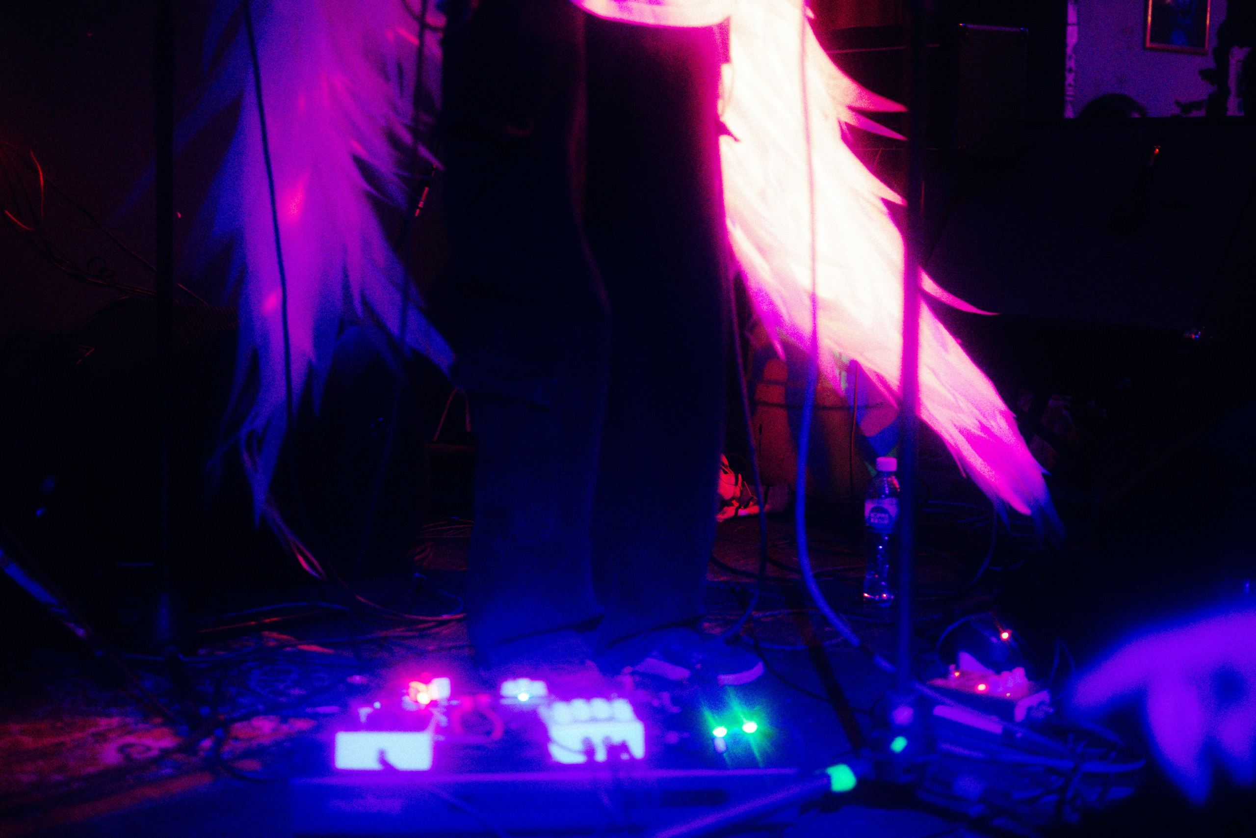 25.07.2025. Анна Мильч