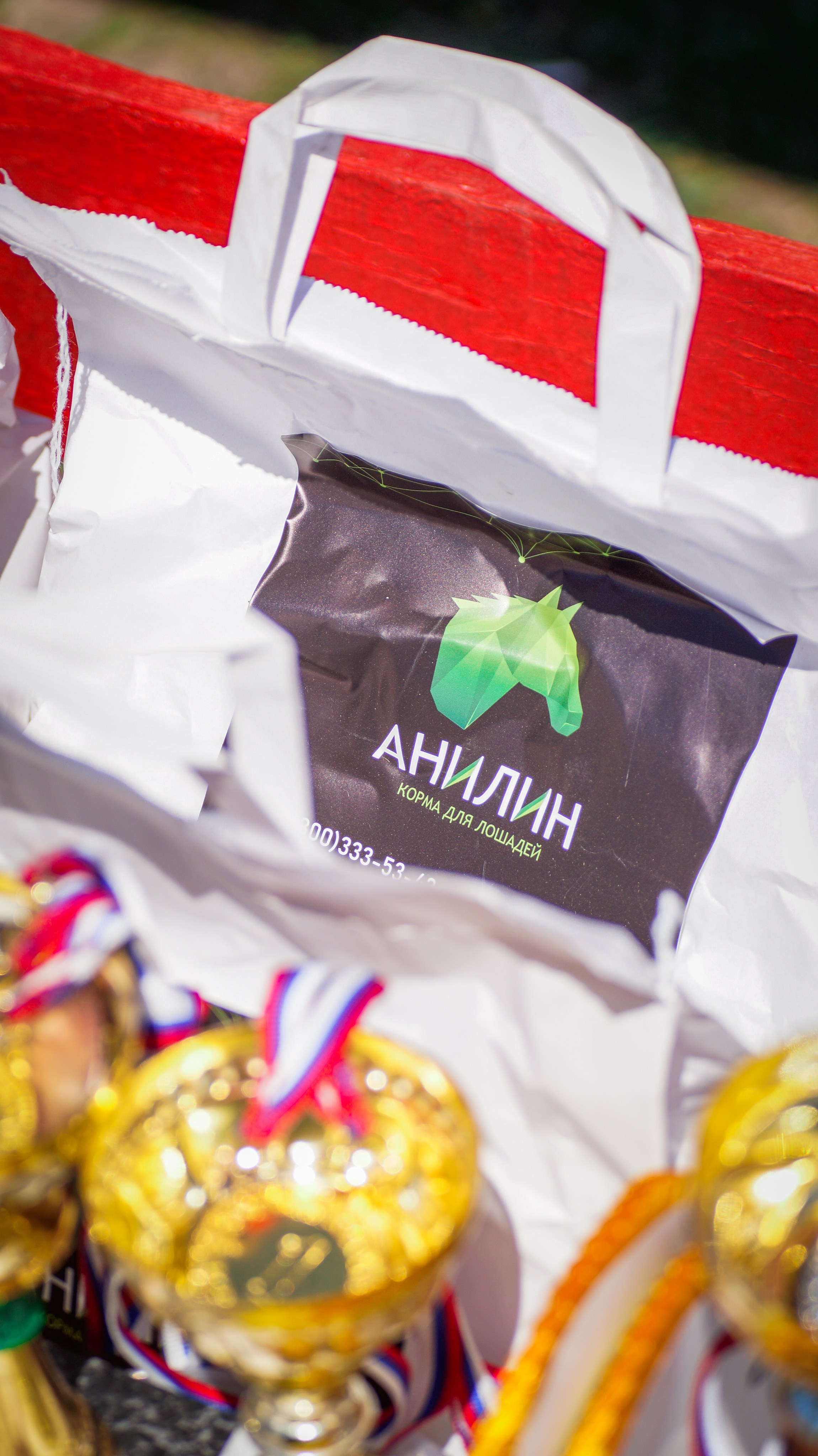 Соревнования. Фотосессии с лошадьми в Москве и МО