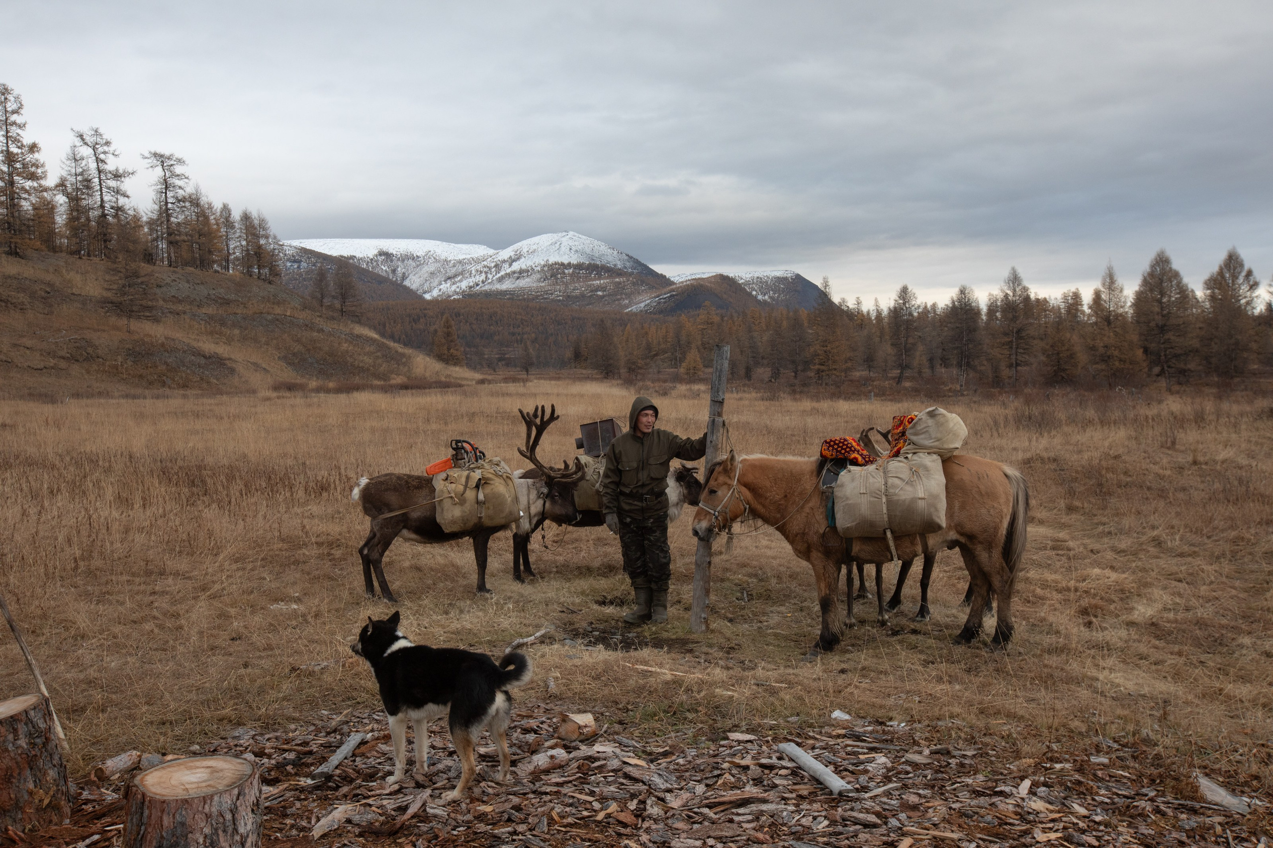 Не забудь накормить озеро. Natalya Madilyan