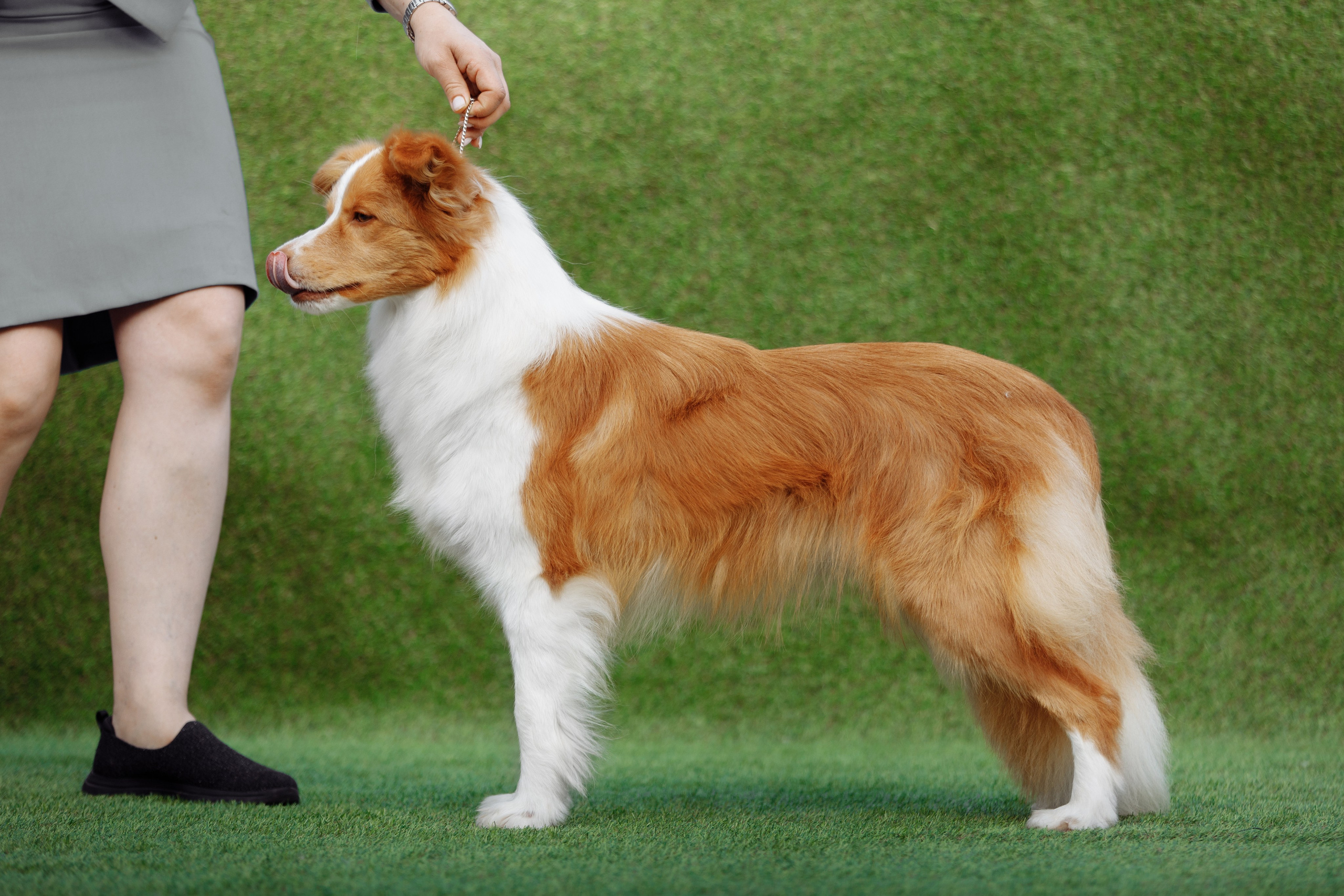 Свое место. О нас