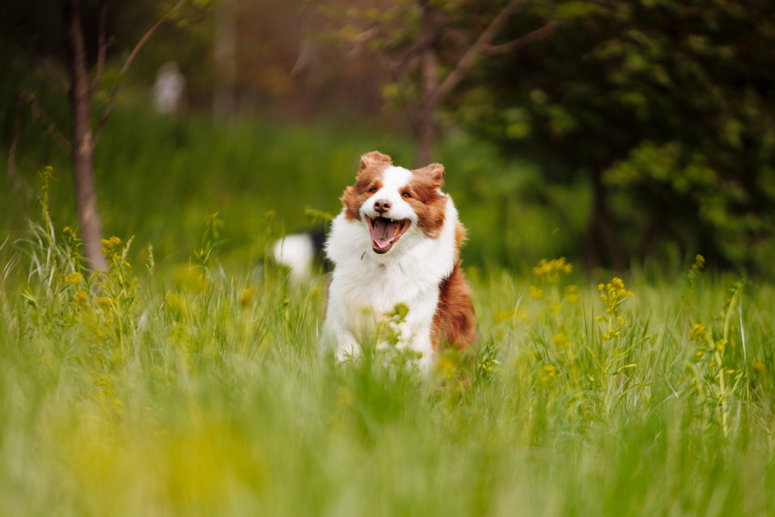 Такой разношерстный Орск 25. О нас