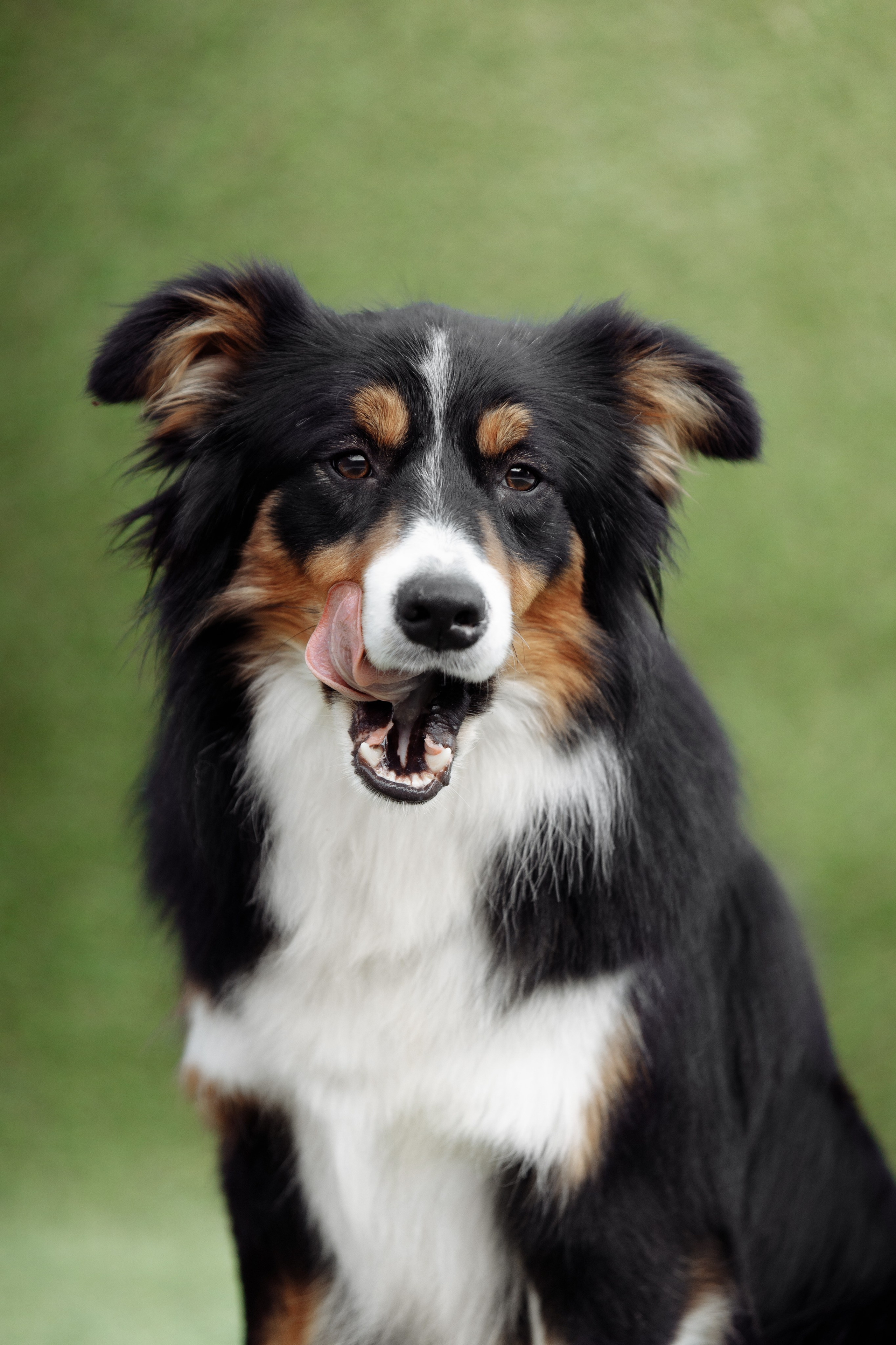 Свое место. О нас