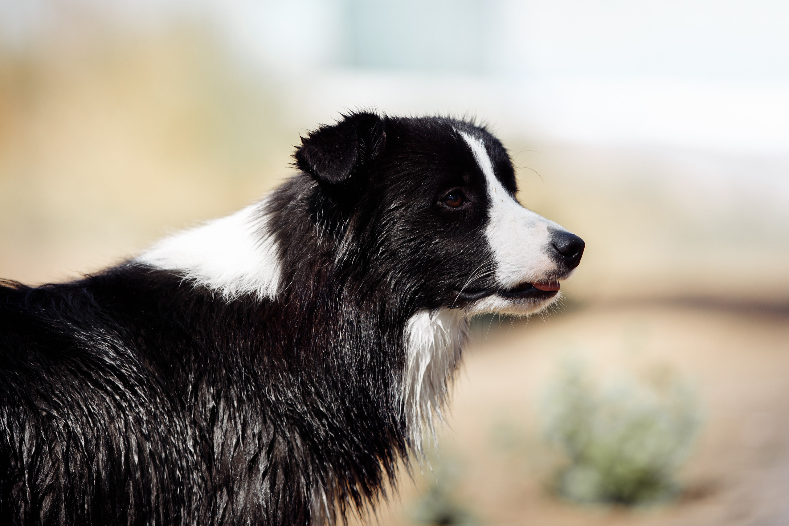 Водяные в Новотроицке. О нас