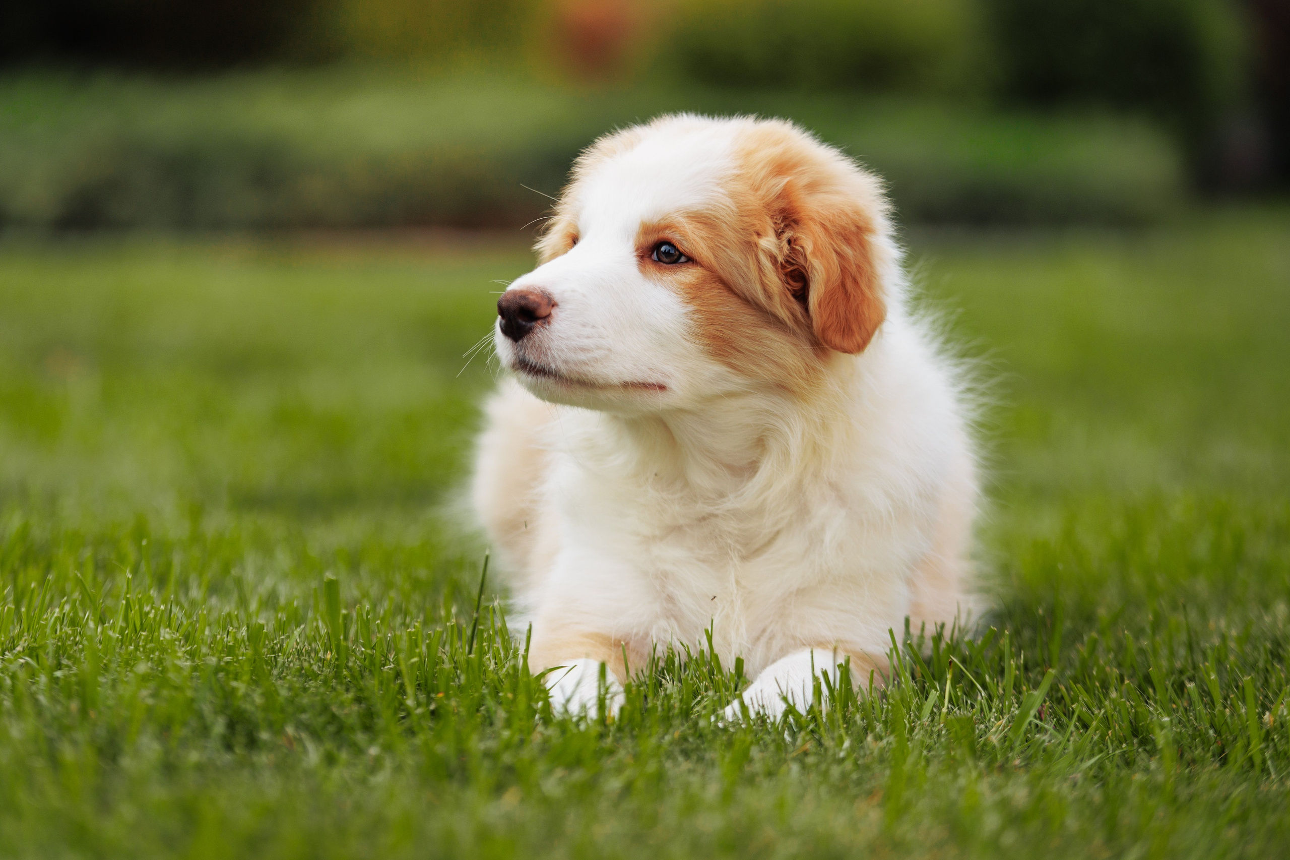 СОлнечные. О нас