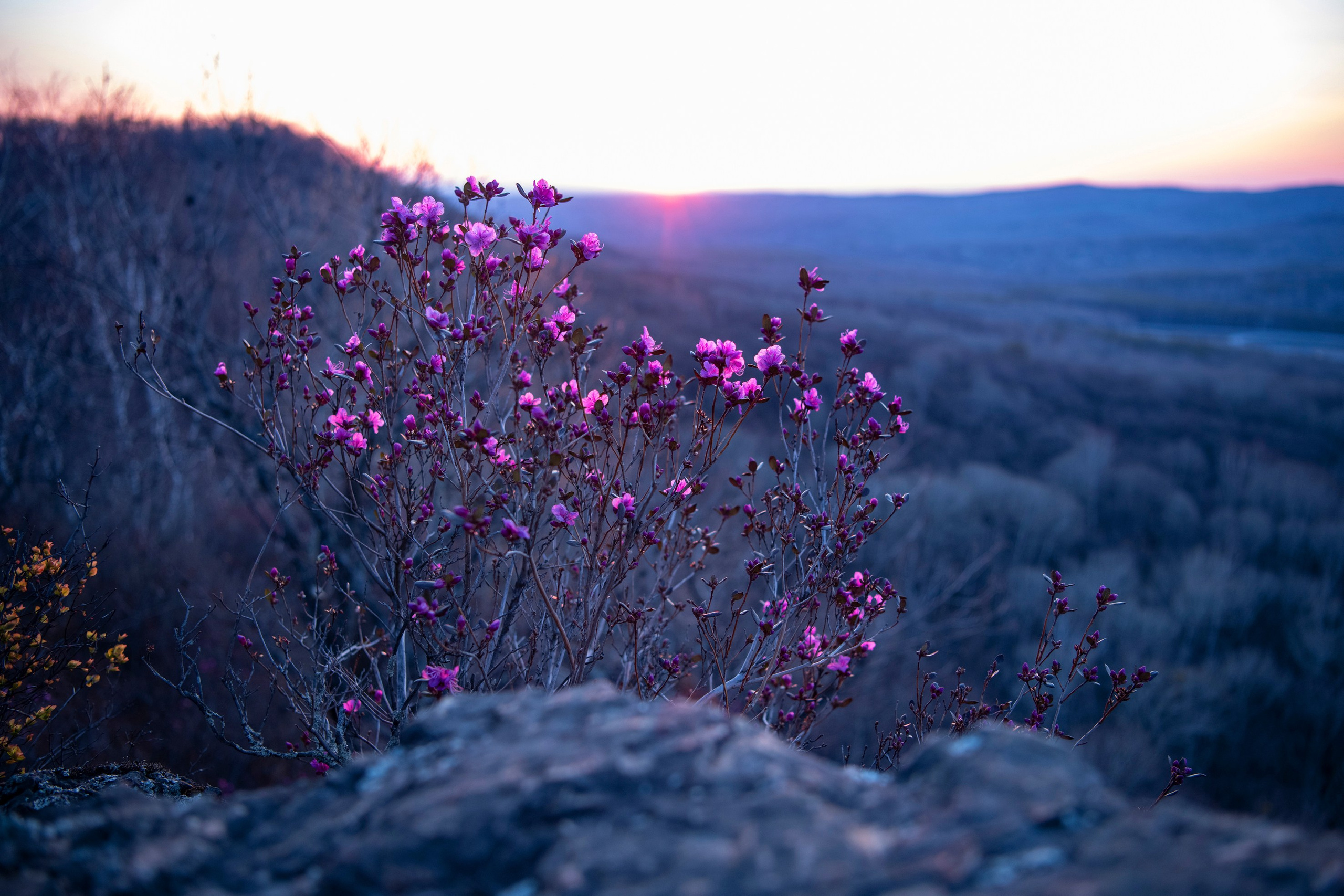 Природа Хабаровского края. Команда фотографов Кристины Ивановой