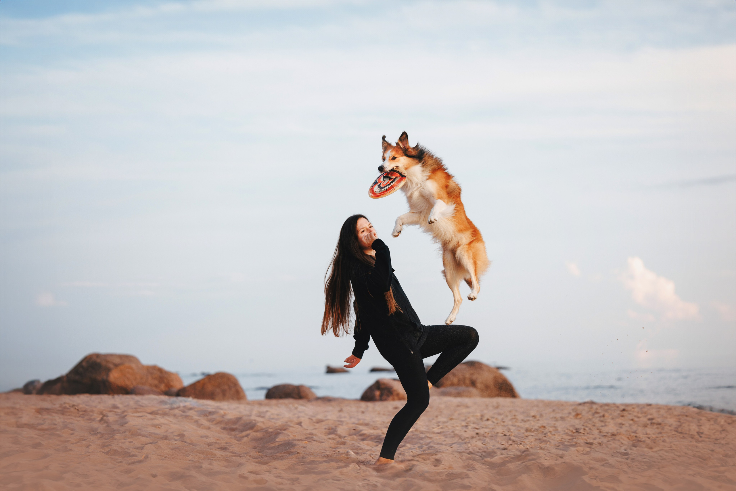 Рита, Маша и много собак. Фотограф анималист Осипчикова Мария