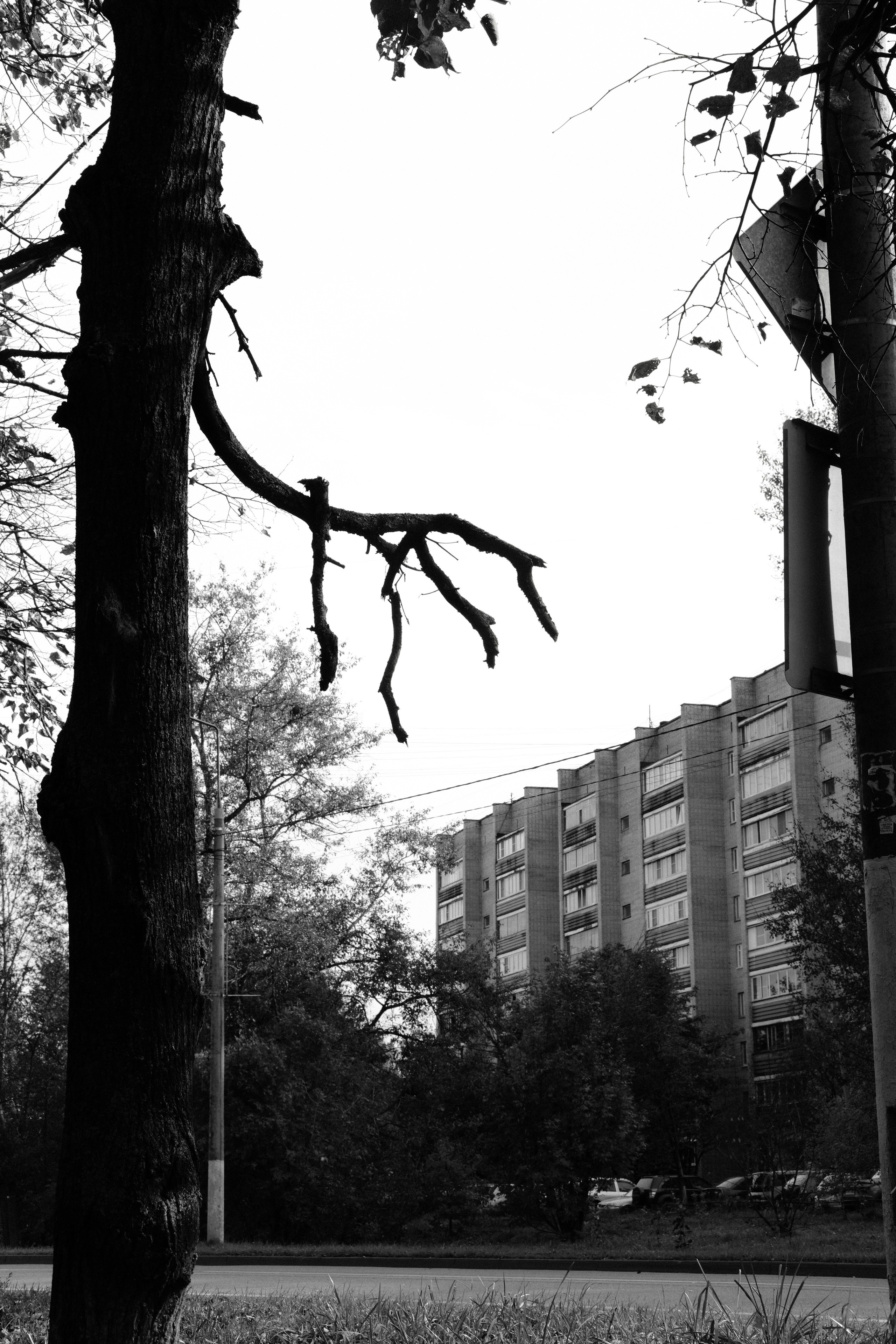 Чехов-Серпухов. Фотограф Маргана Лоция