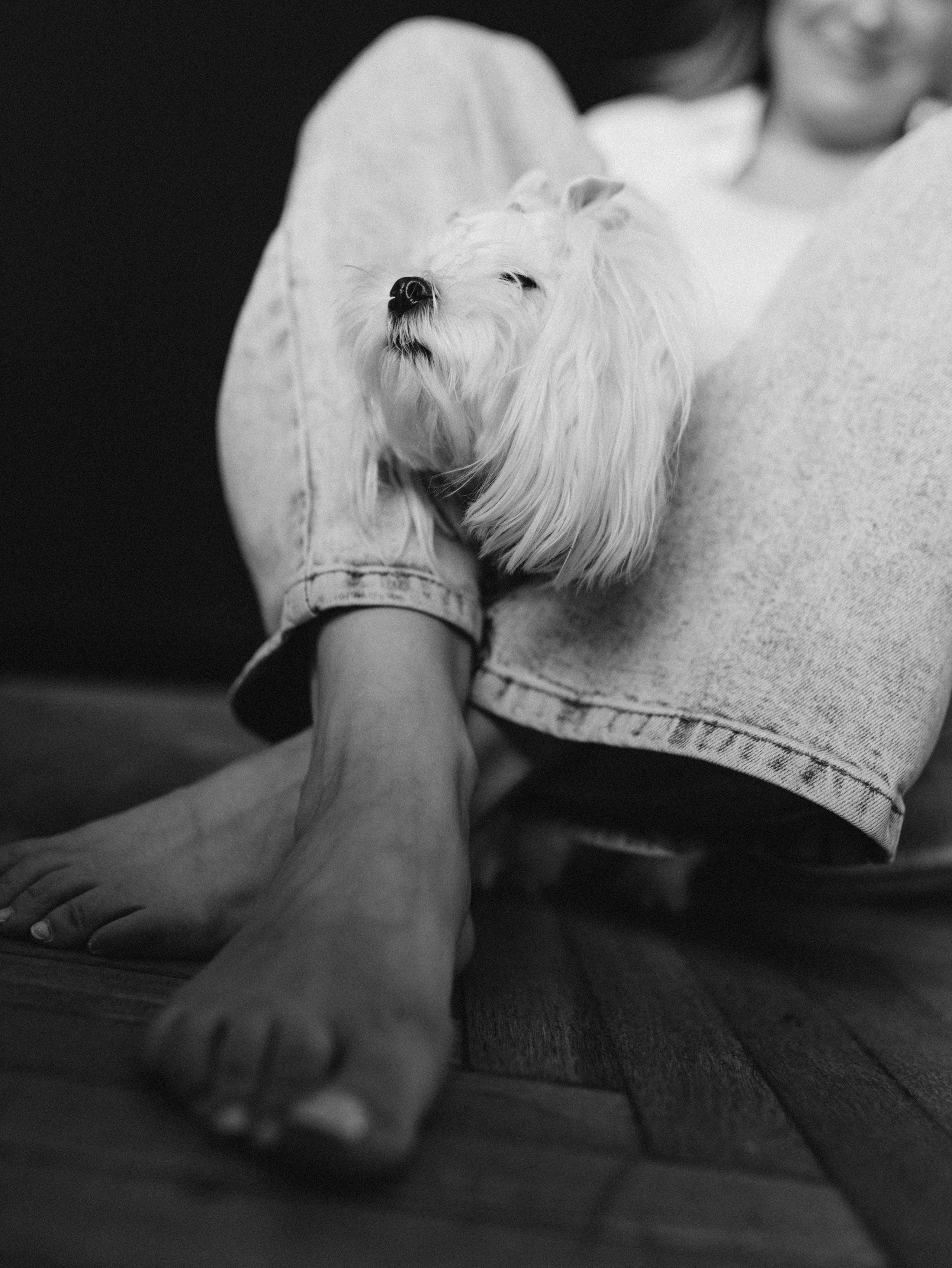 Мира и Таня. Фотограф-анималист в Москве Кириллова Татьяна