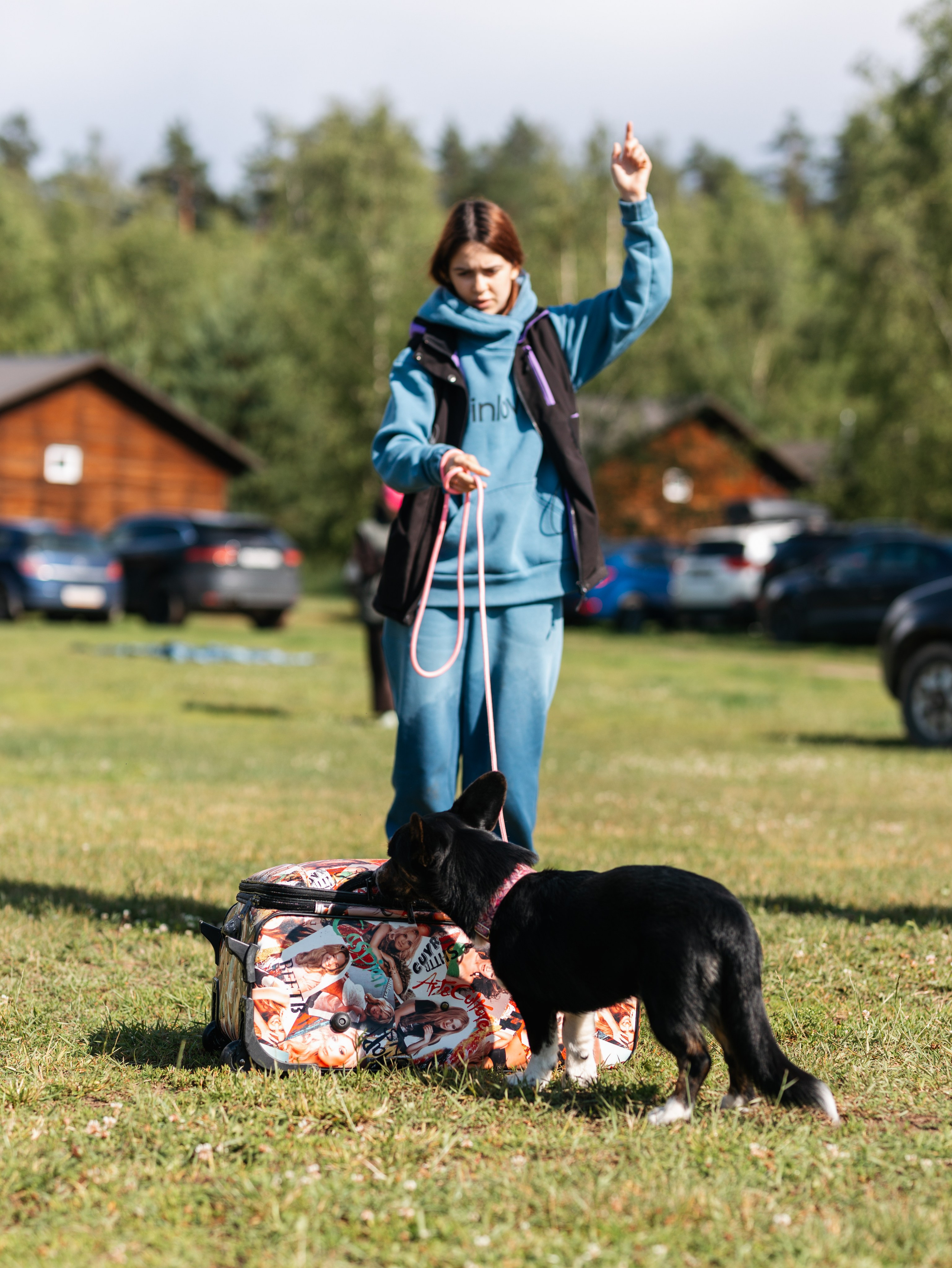 Лагерь ноузворк. Фотограф-анималист в Москве Кириллова Татьяна