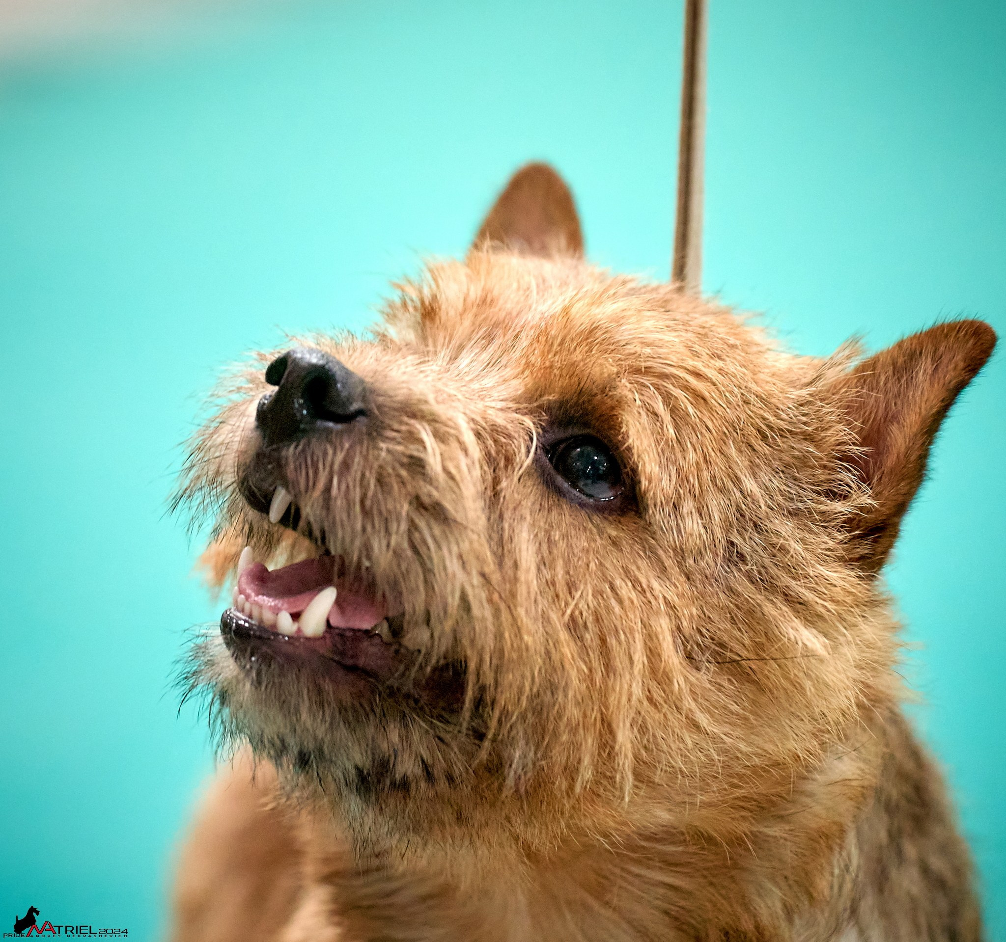 Съемка на выставке в Крокусе