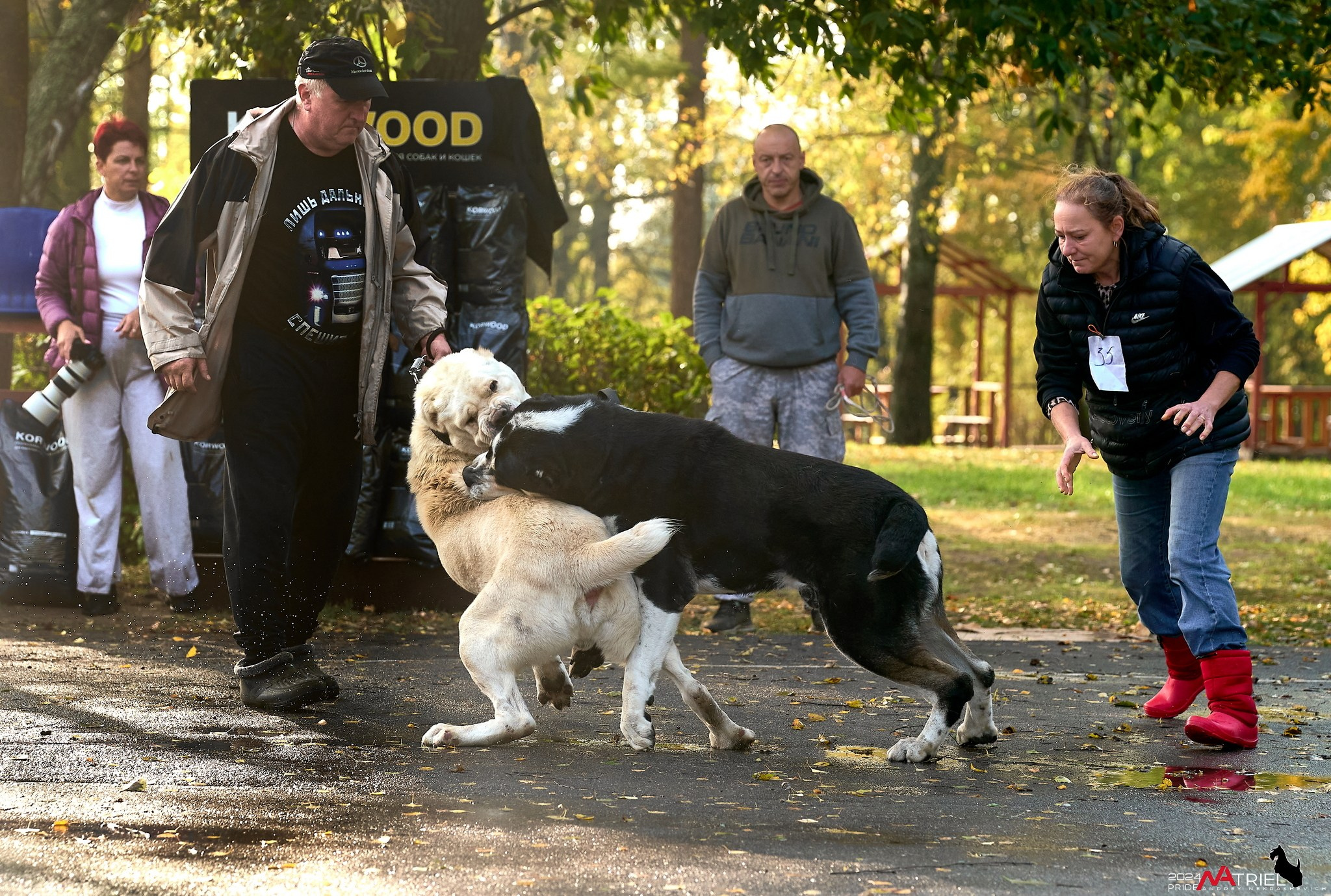 Съемка на выставке САО в Александров