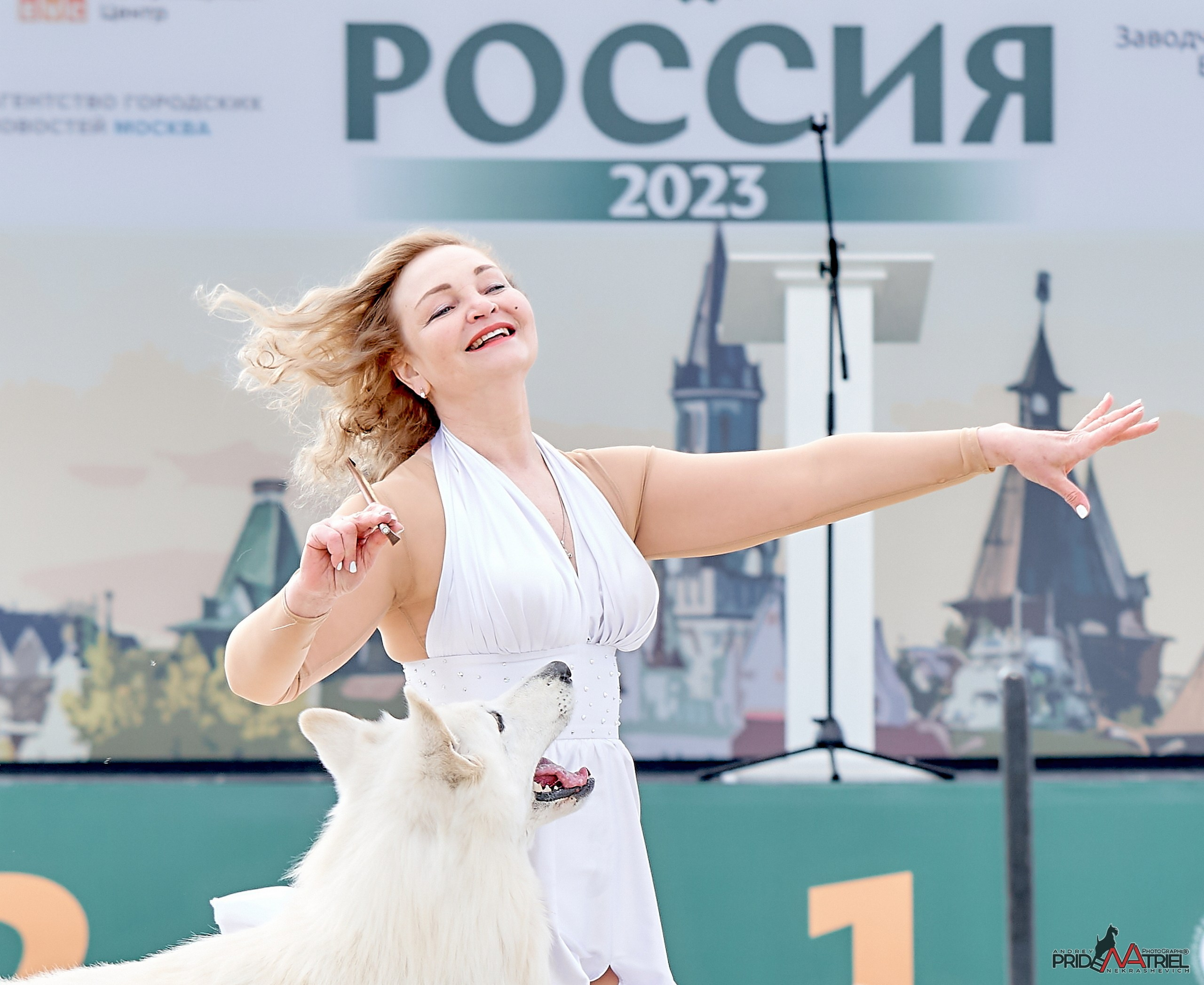 Обидиенс и танцы с собаками — галерея NATRIEL