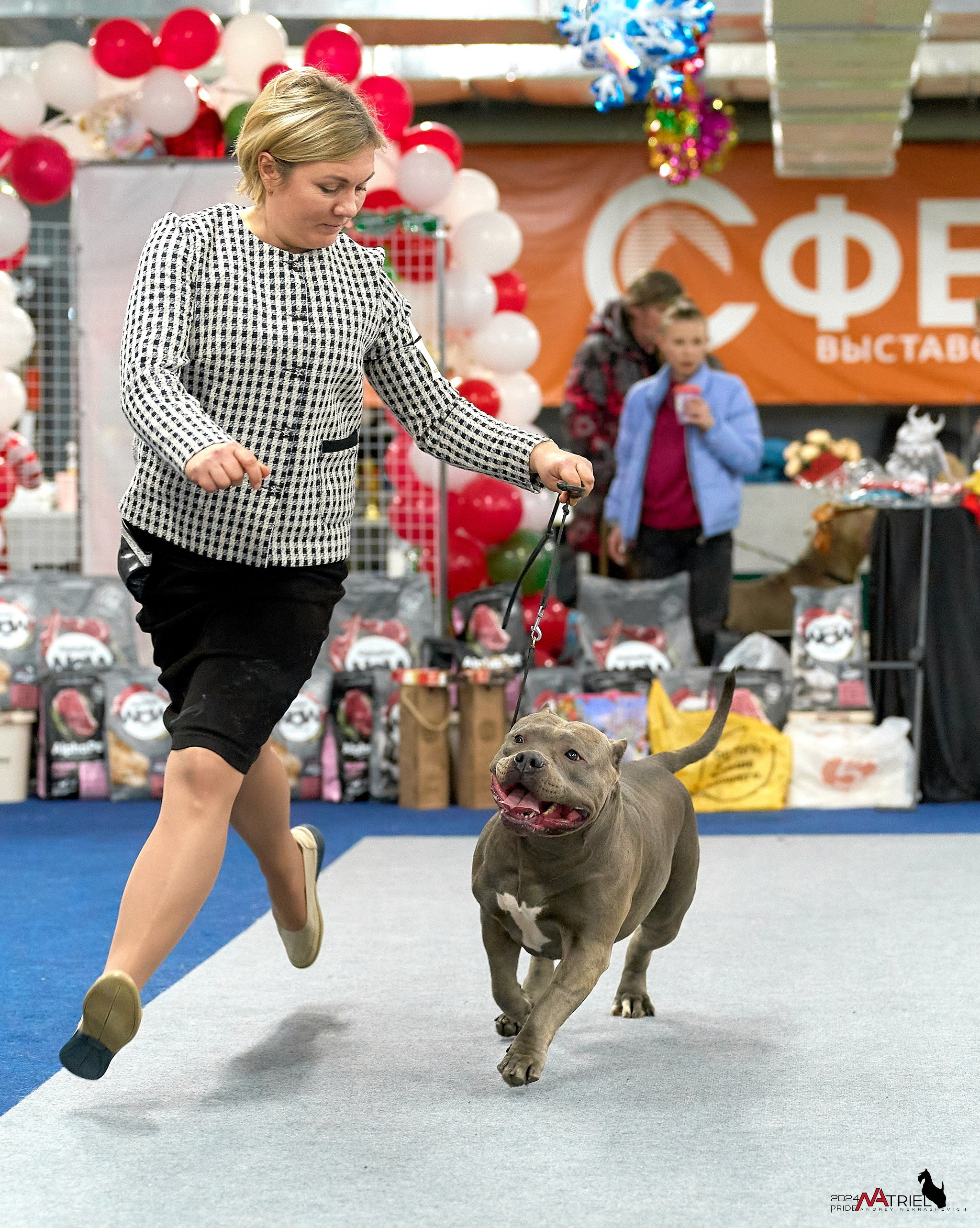 Съемка на выставке БуллиШоу