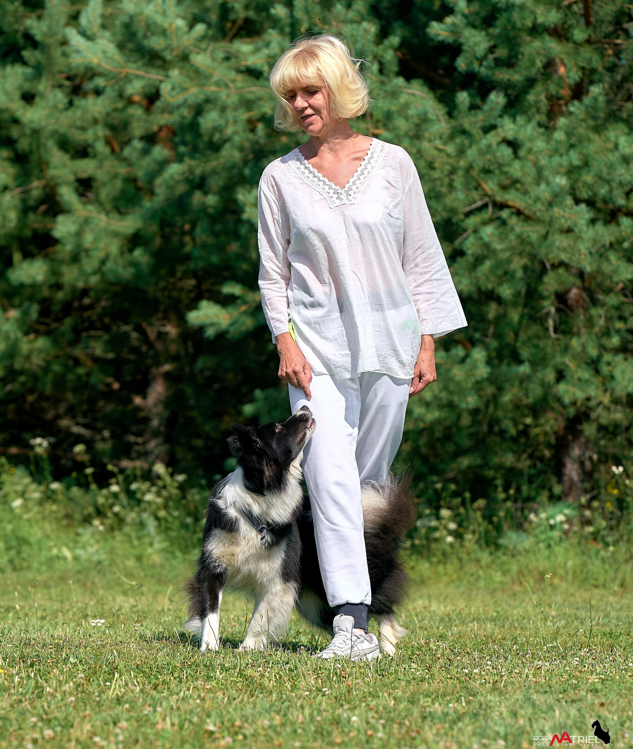 Репортаж из кинологического лагеря