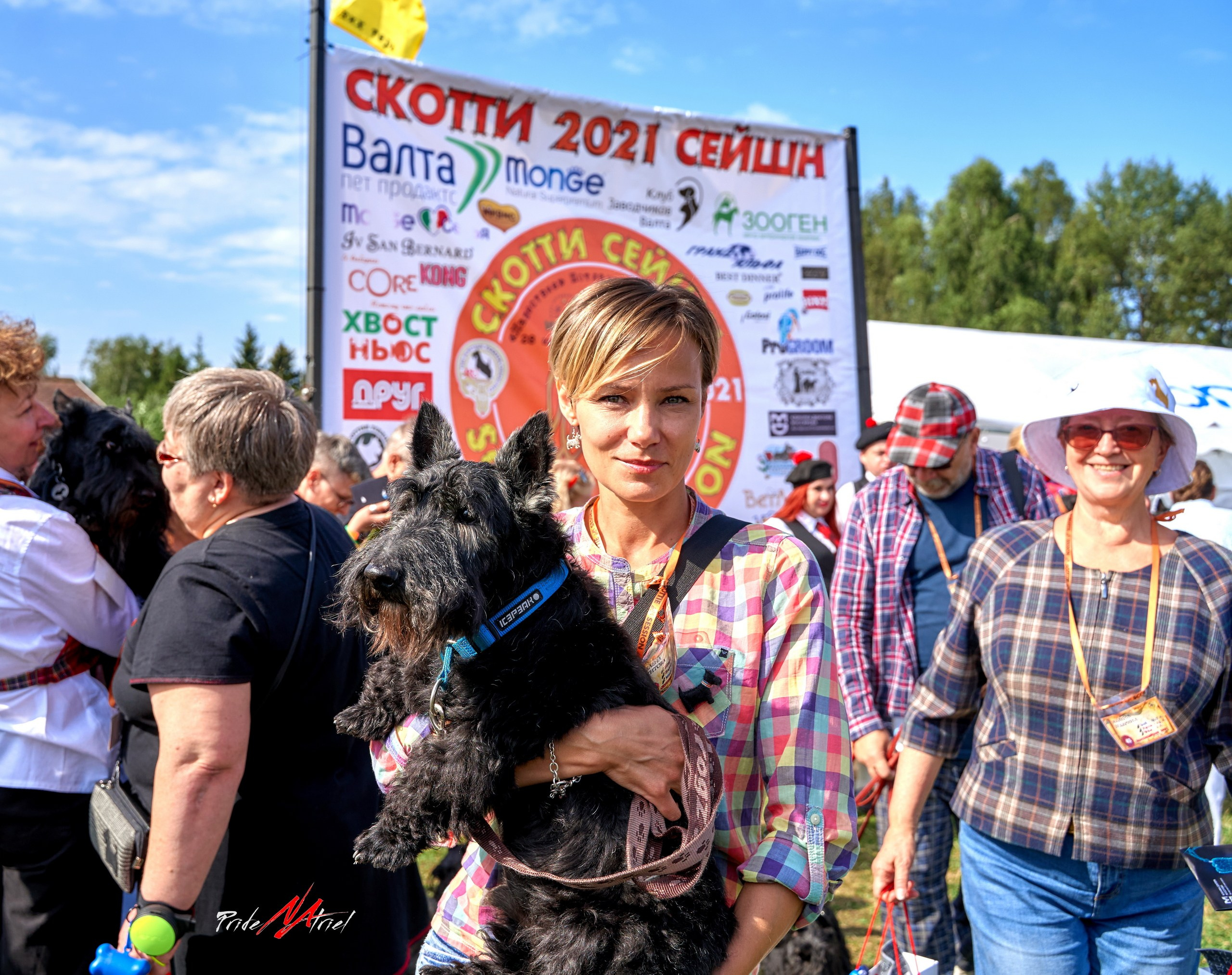 Мероприятия с собаками — галерея NATRIEL