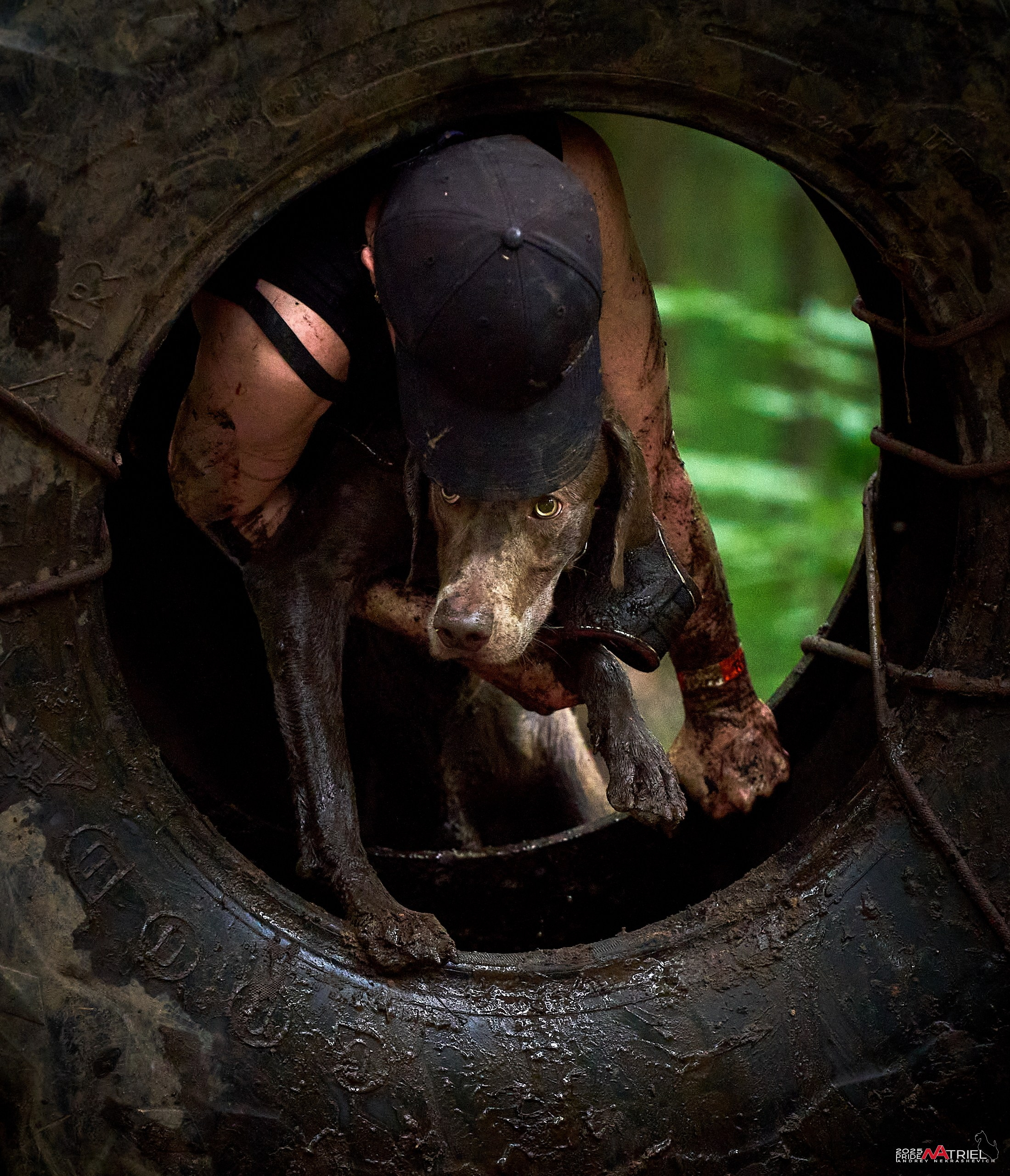 Russian Extreme Dog Trail — 2025