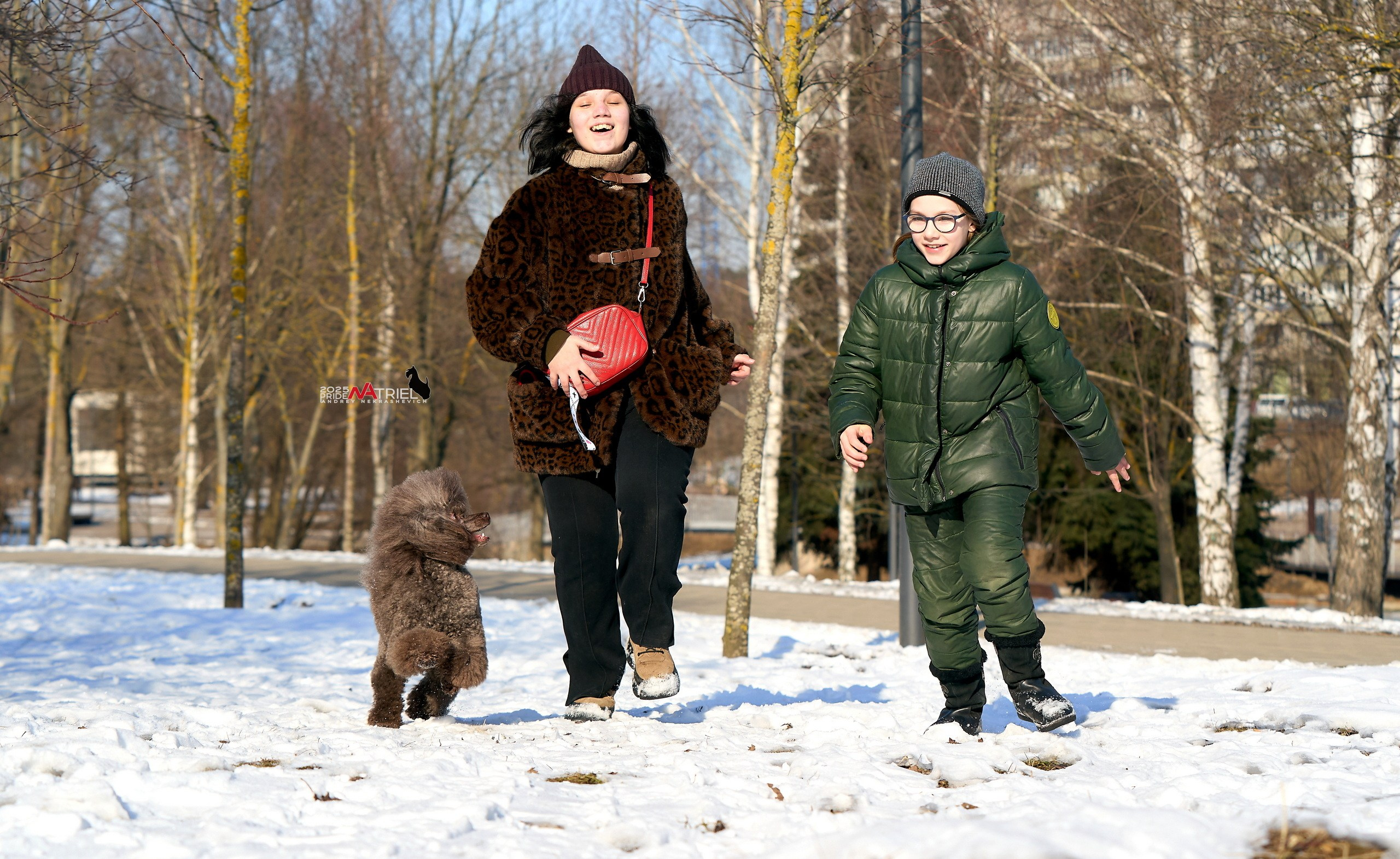 Фотопрогулка с пуделем