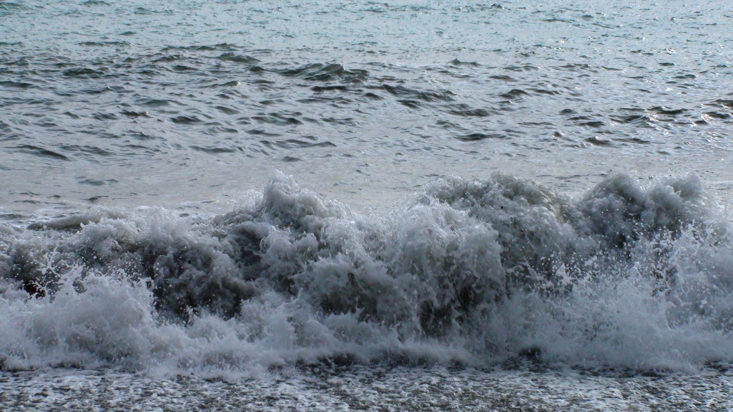 Отпуск 12.06-18.08. Семейный, Свадебный фотограф СПБ Питер— Романова Екатерина