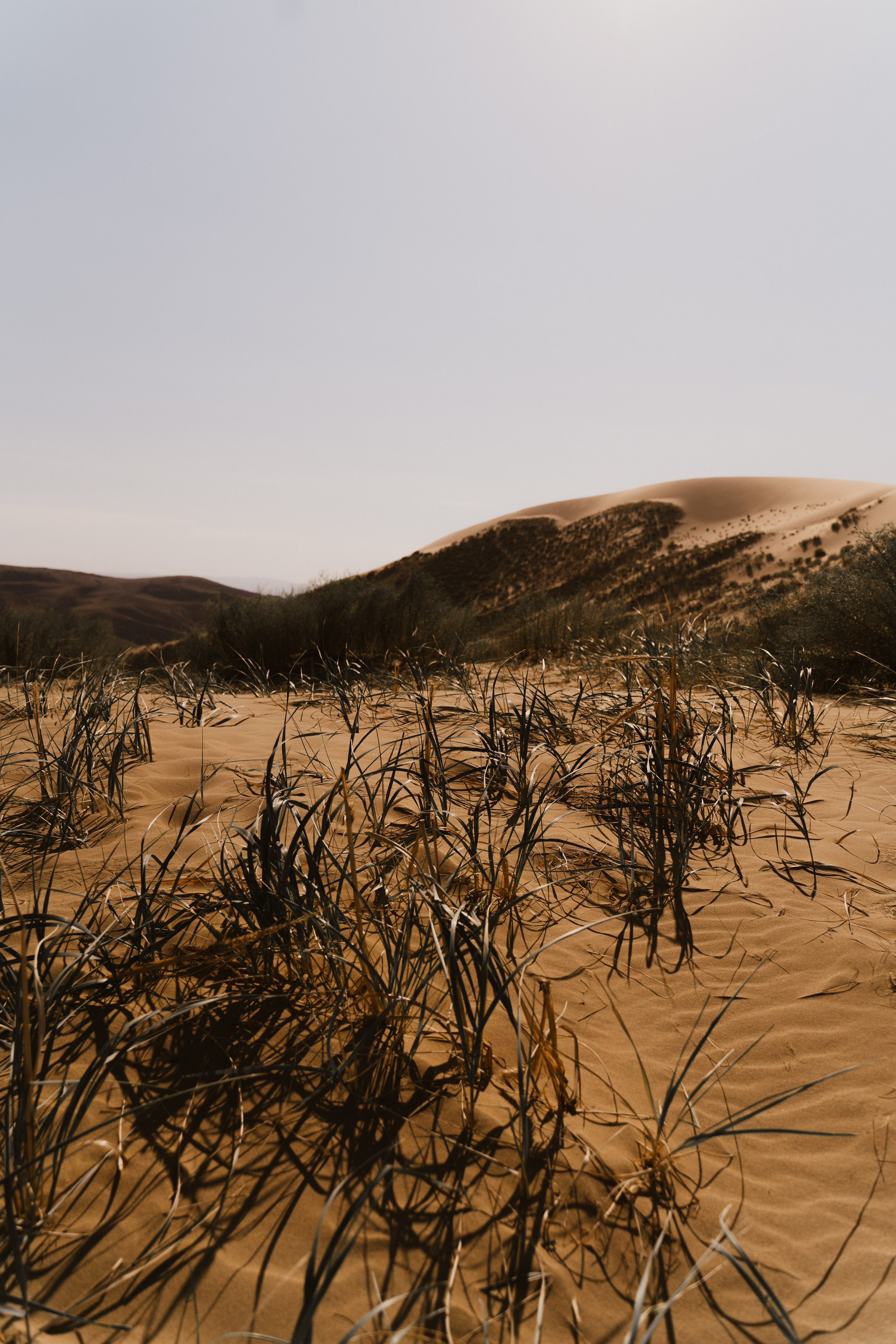 Пейзаж. Фотограф Кантемир Бараов