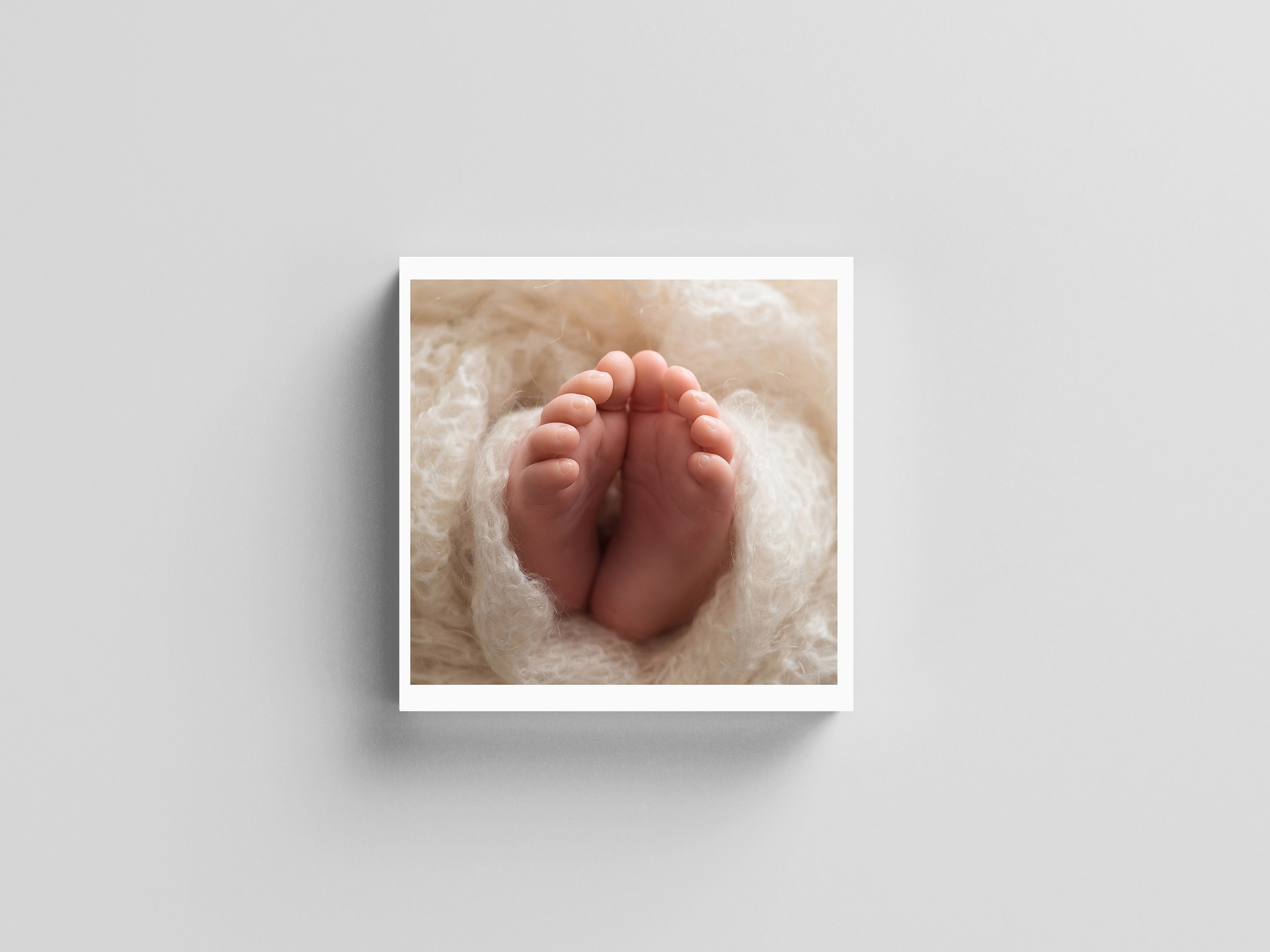 Книга Александр. Алёна Орлова Портретный фотограф Москва