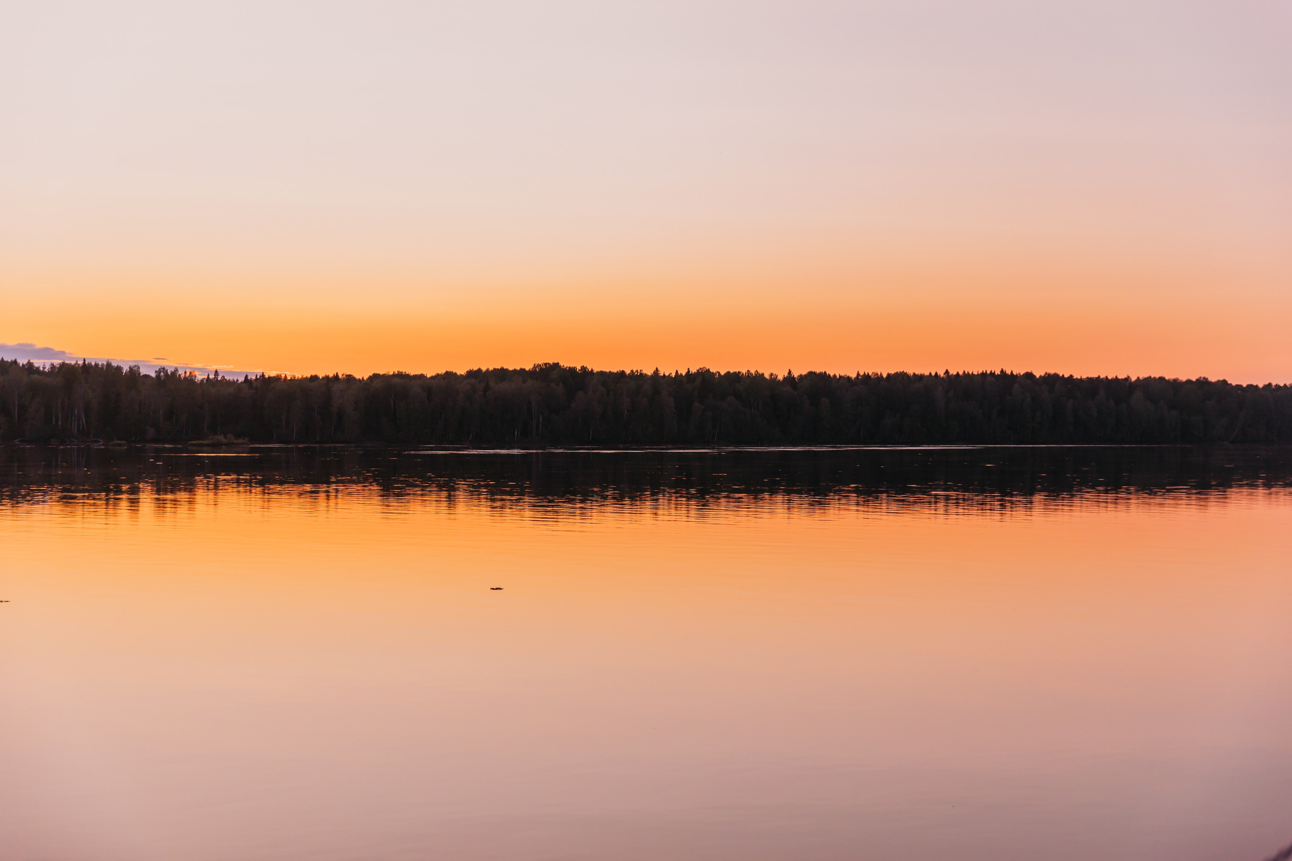 Родные люди «Мандроги». Леся Гаранина. Семейный фотограф/видеограф Москва и область