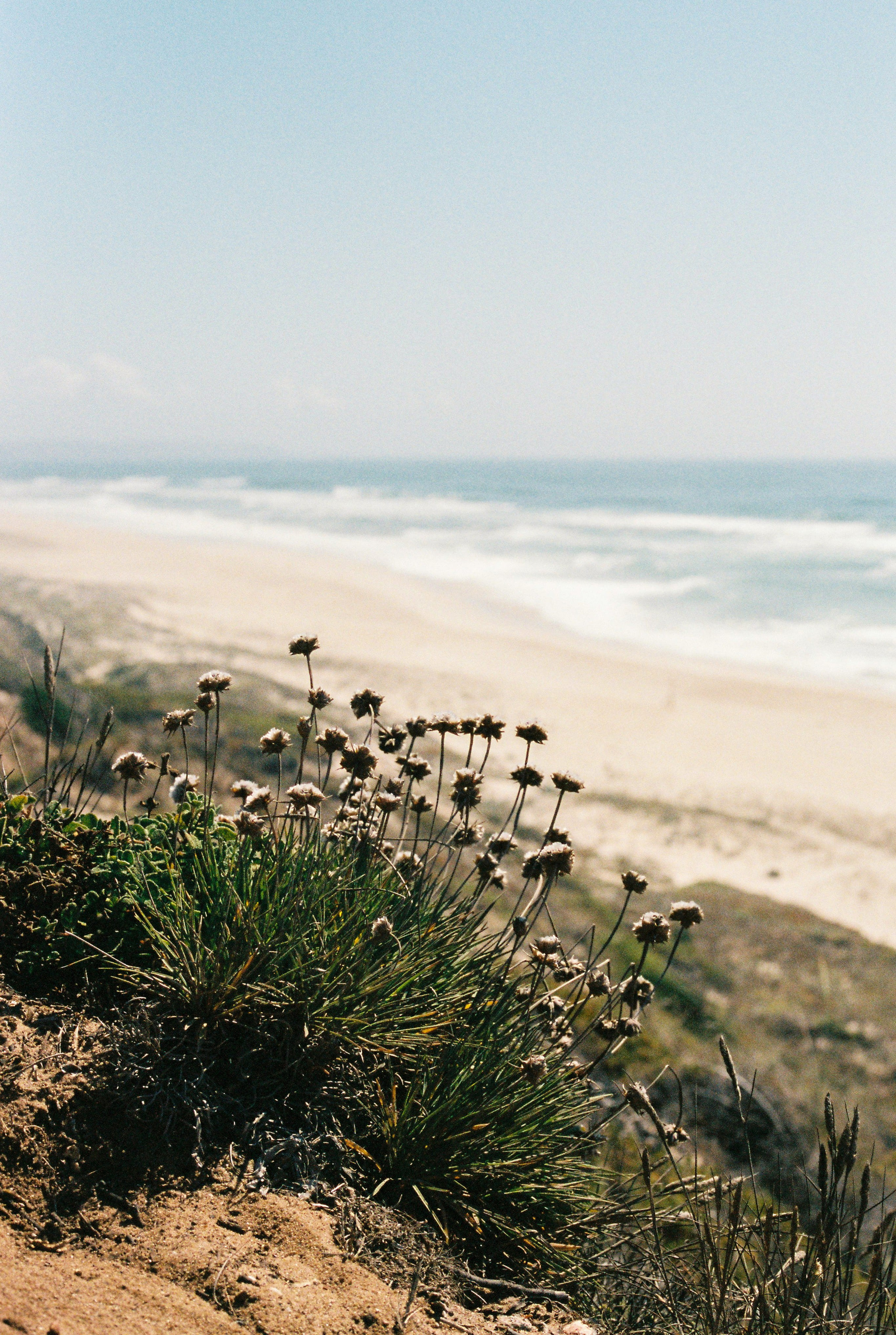 Фотографии природных явлений и животных. Фотограф Андрей Македонский