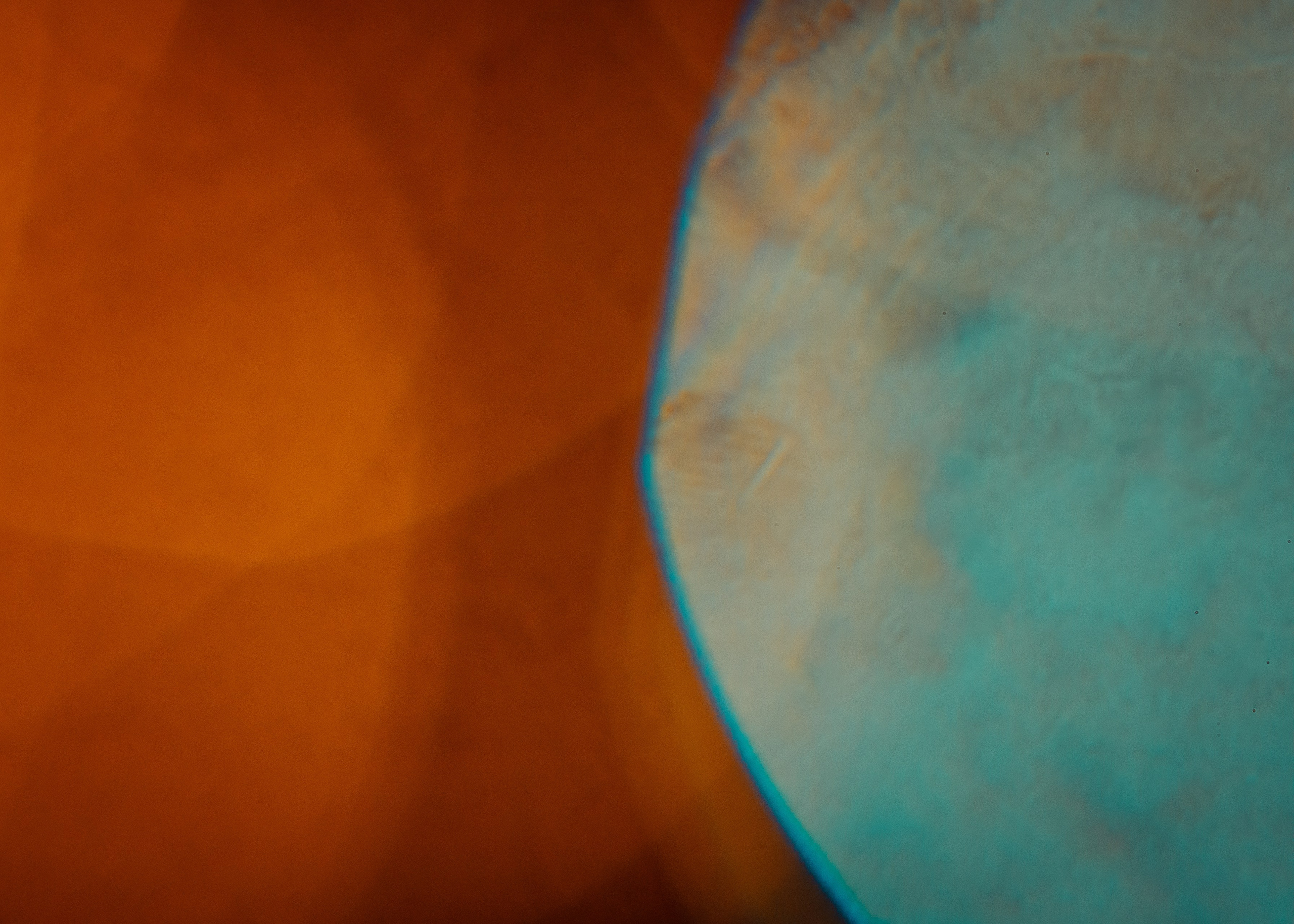 АЛЕКСЕЙ РУМЯНЦЕВ. Фотограф Елена Богачева (lenalena_na_na_na)