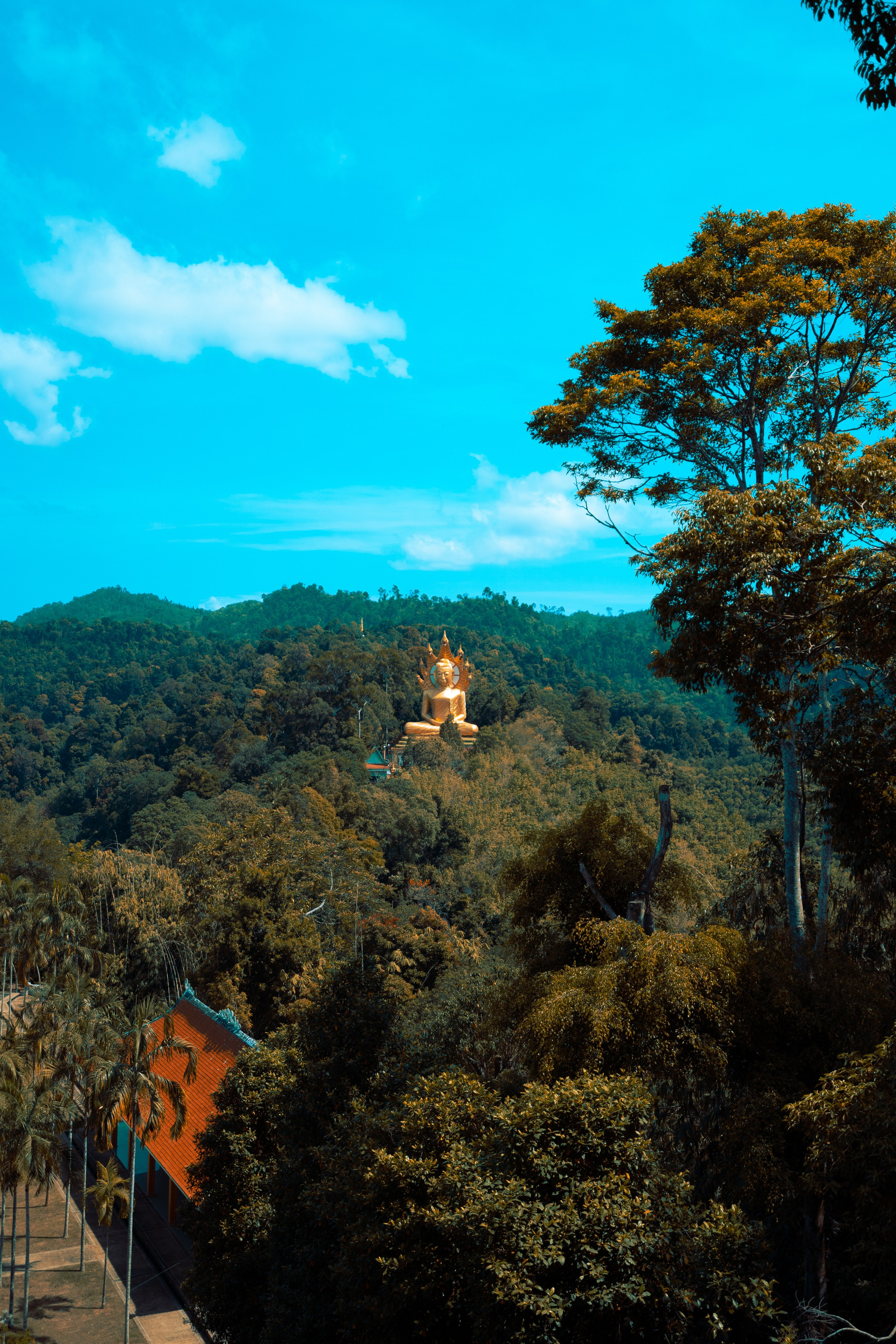 Тайланд. Фотограф Алиса Аспер