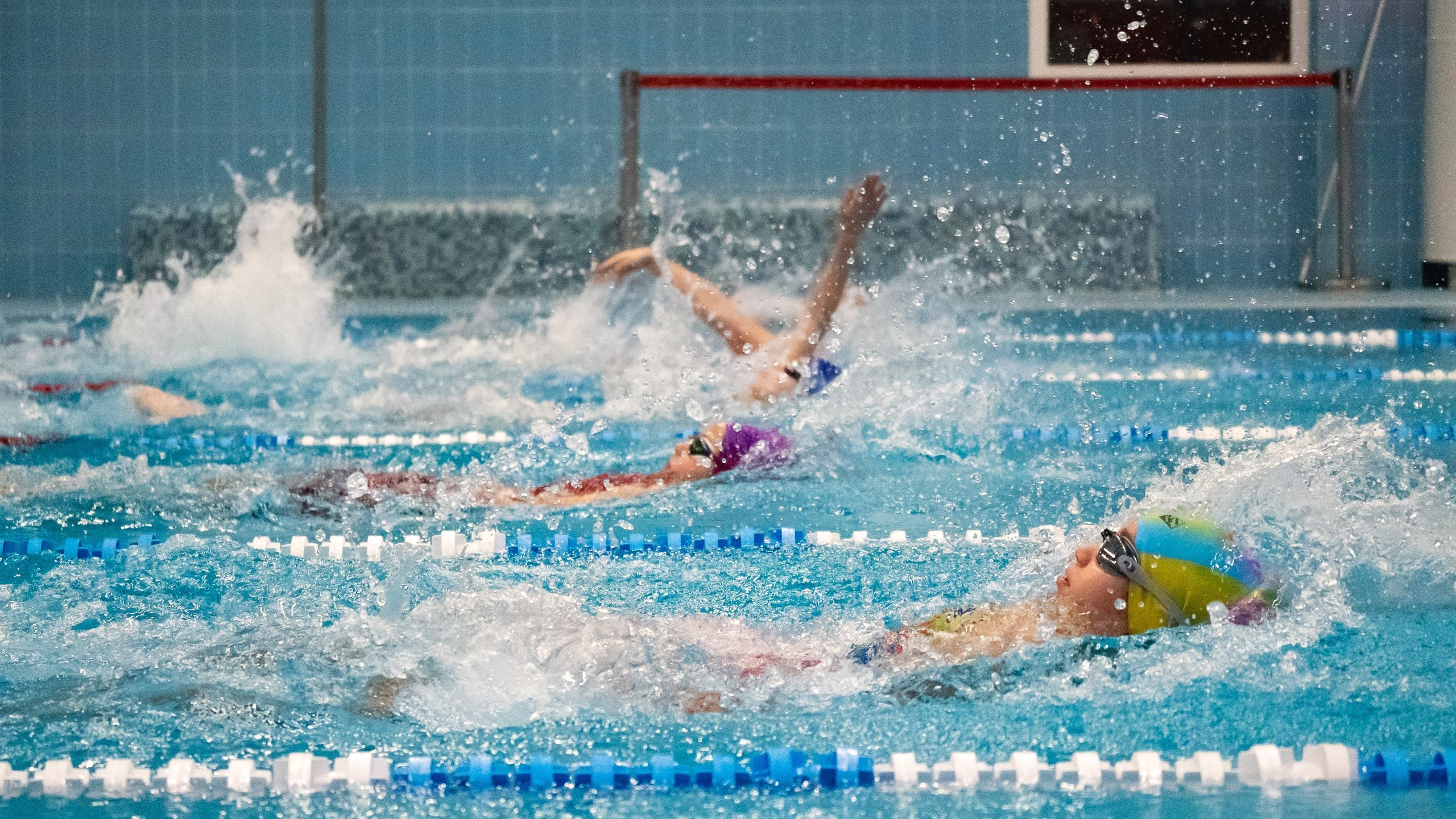 Соревнования по плаванию «Осенний спринт» 2025, МССУОР № 1. Фотограф и видеооператор Екатерина Гнатюк