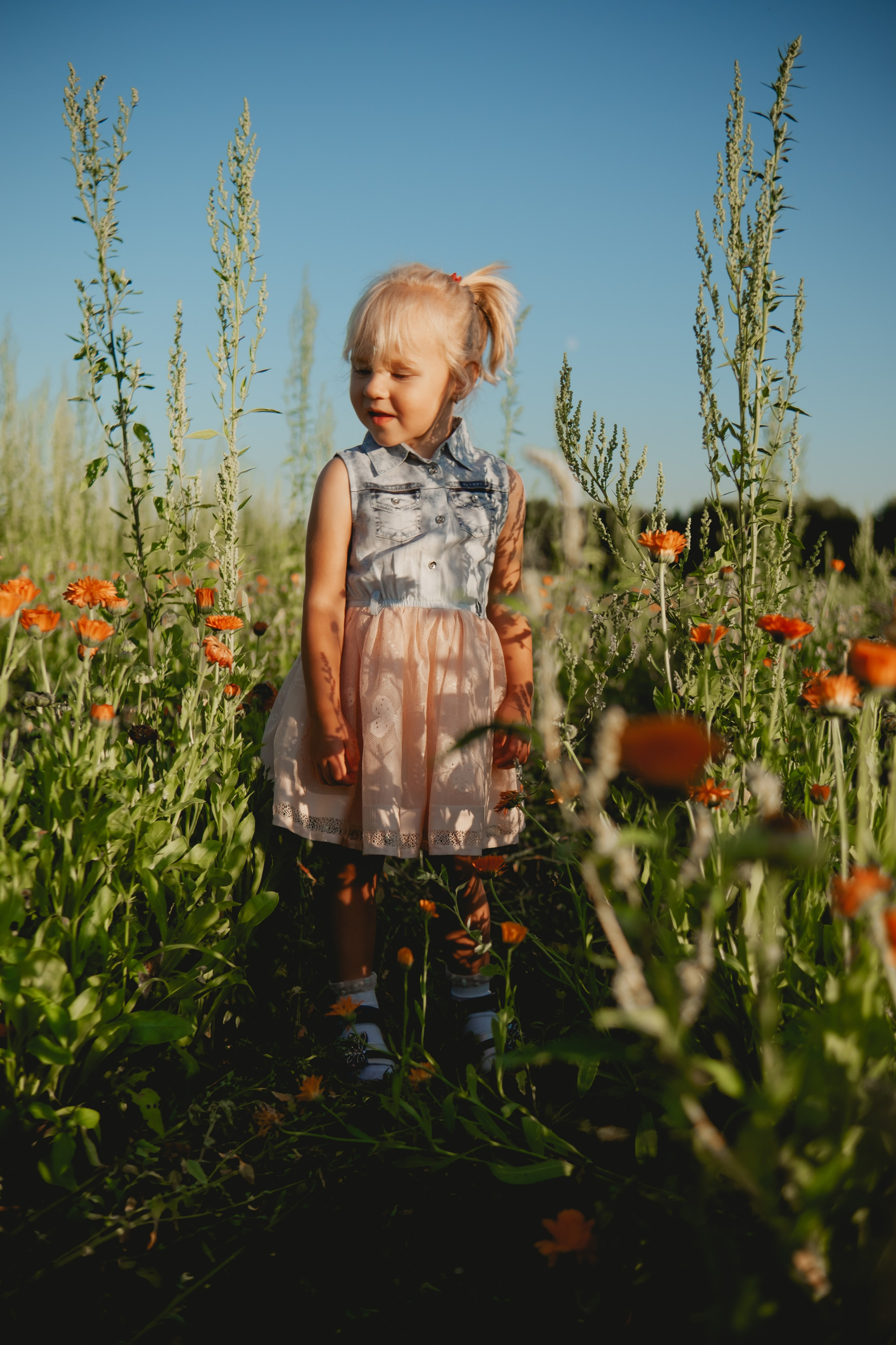 Семейная съемка в лованде. Nattie.ph