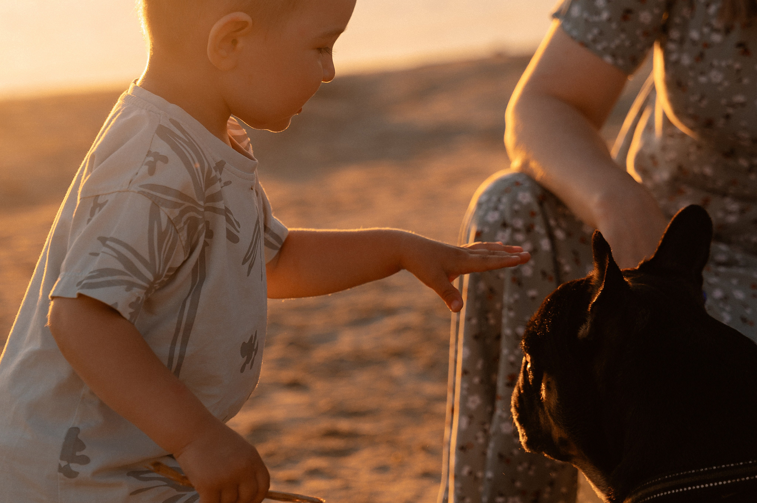 Уличная летняя семейная фотосессия. Свадебный и семейный фотограф в Чебоксарах Ирина Левнер