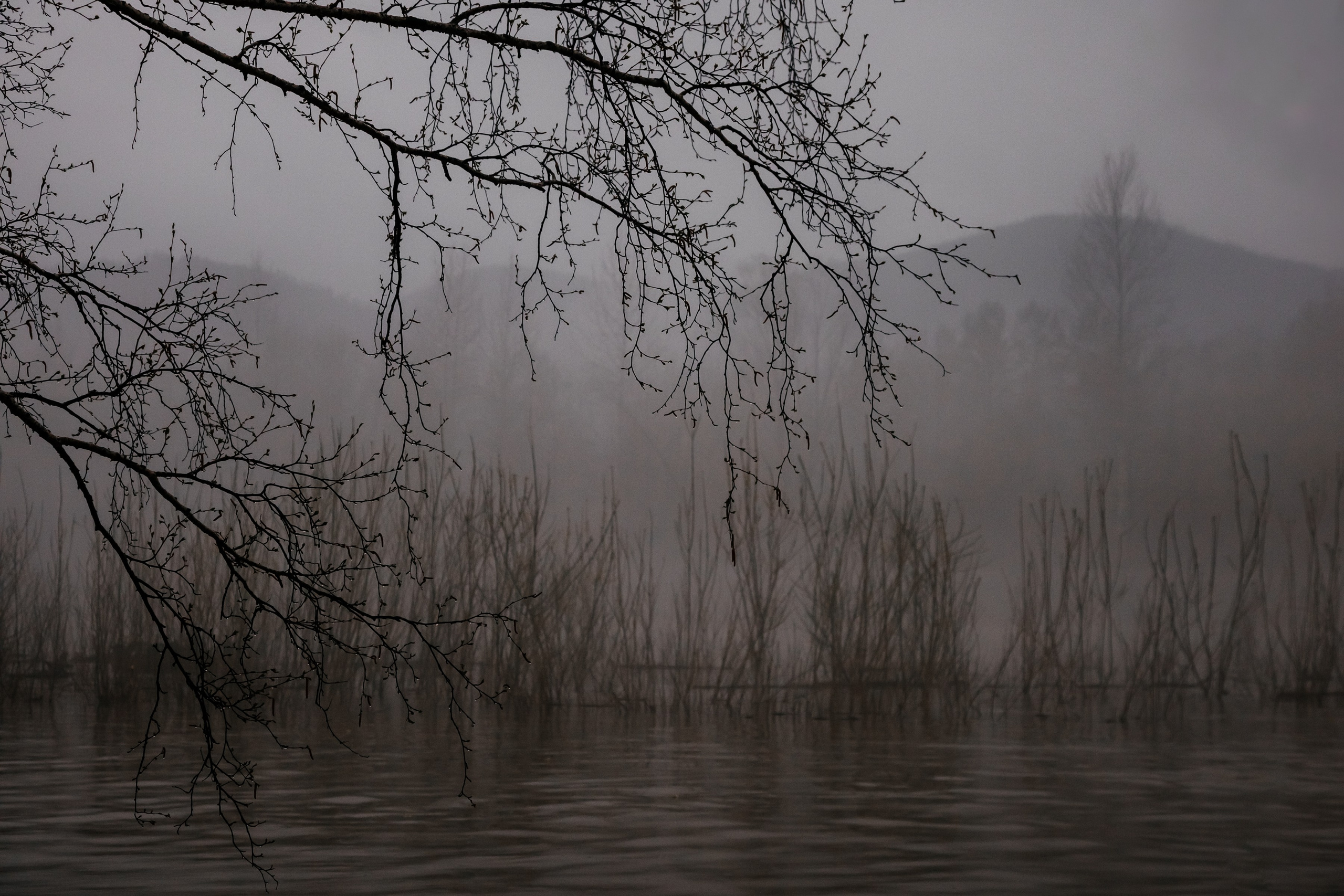 Хакассия. Фотограф в Красноярске Оксана Корчагина