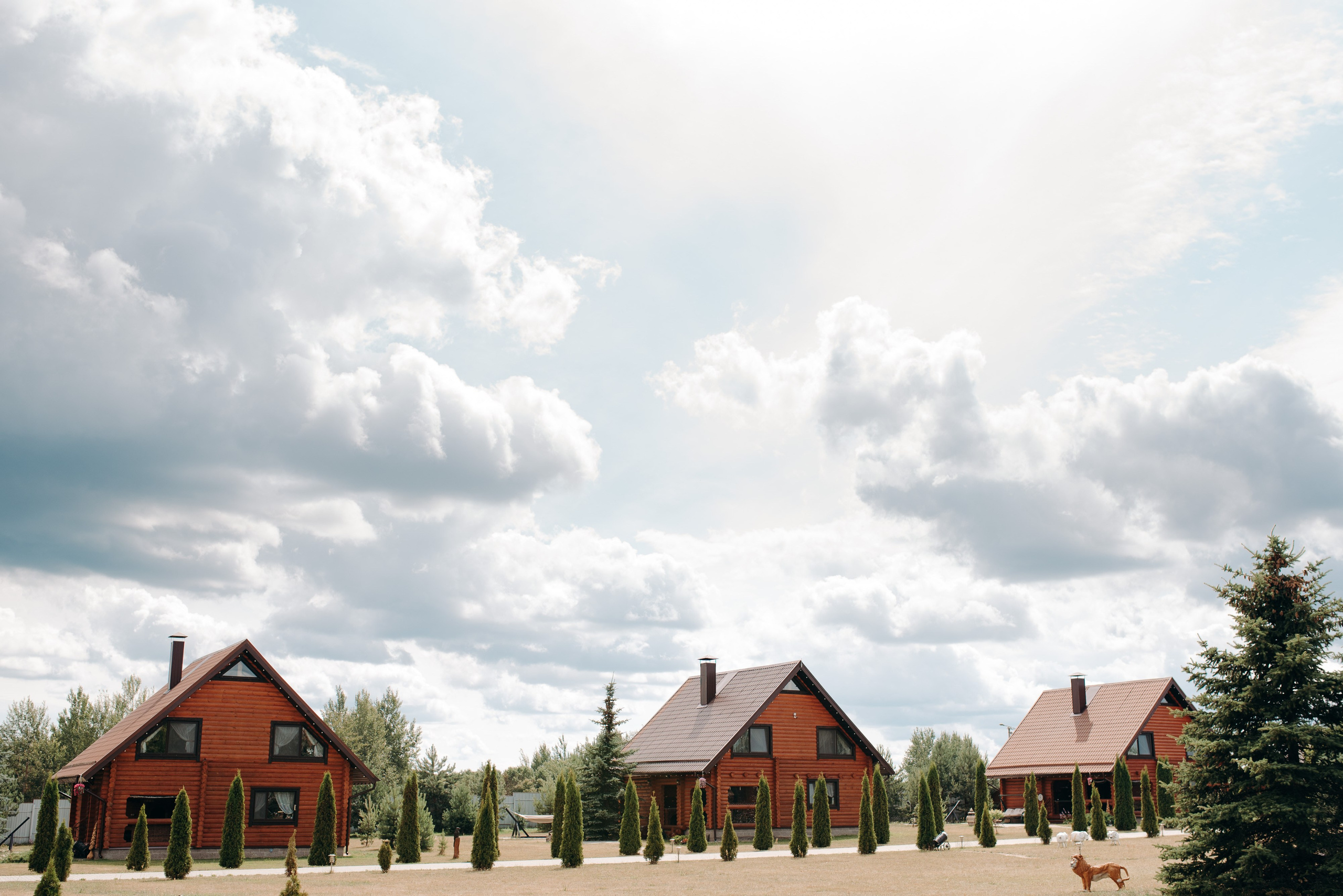 Николай и Анита. Фотограф Тривашкевич Александр