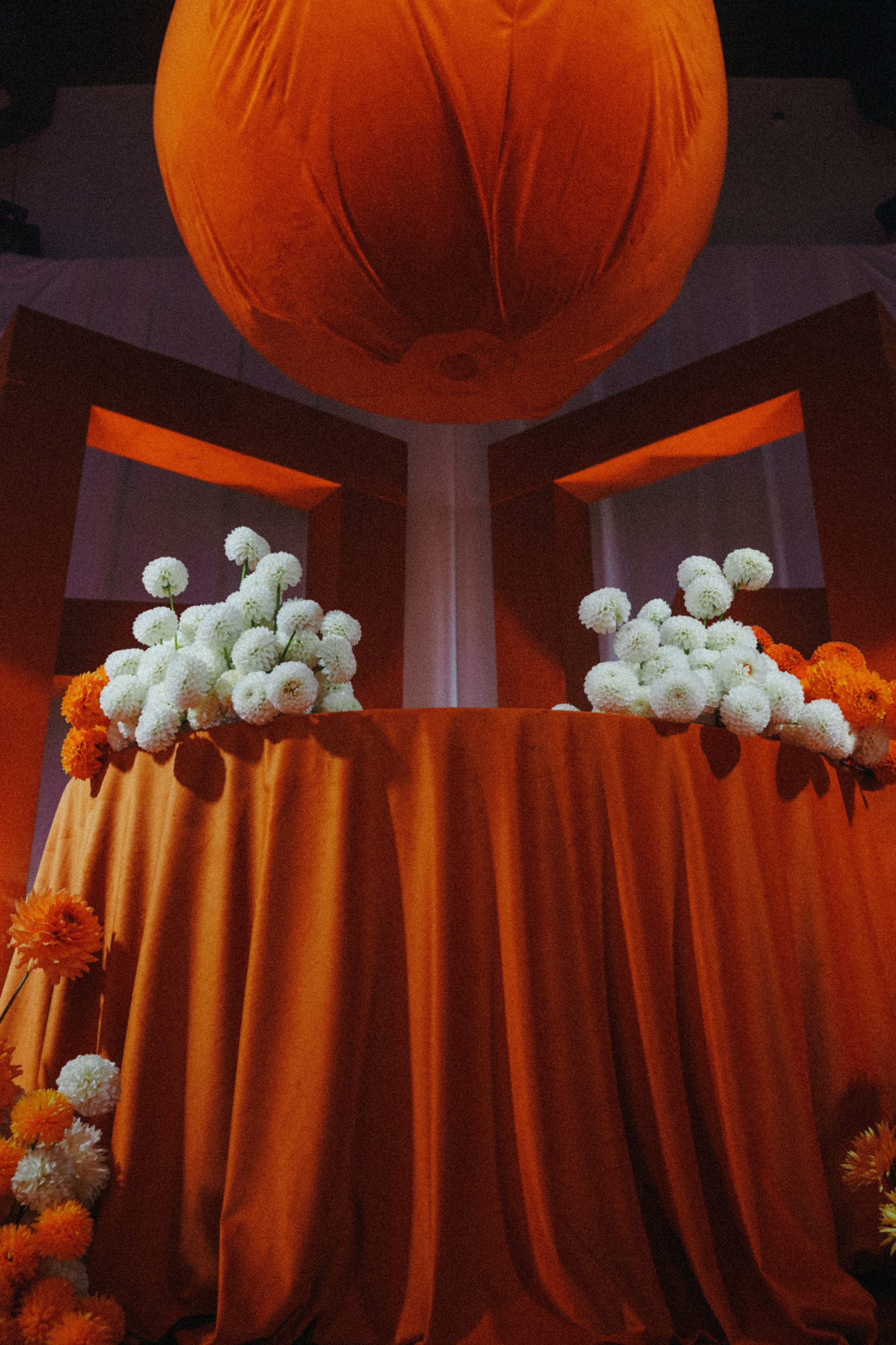 Новый мир. Фотограф Москва Никита Воробьев