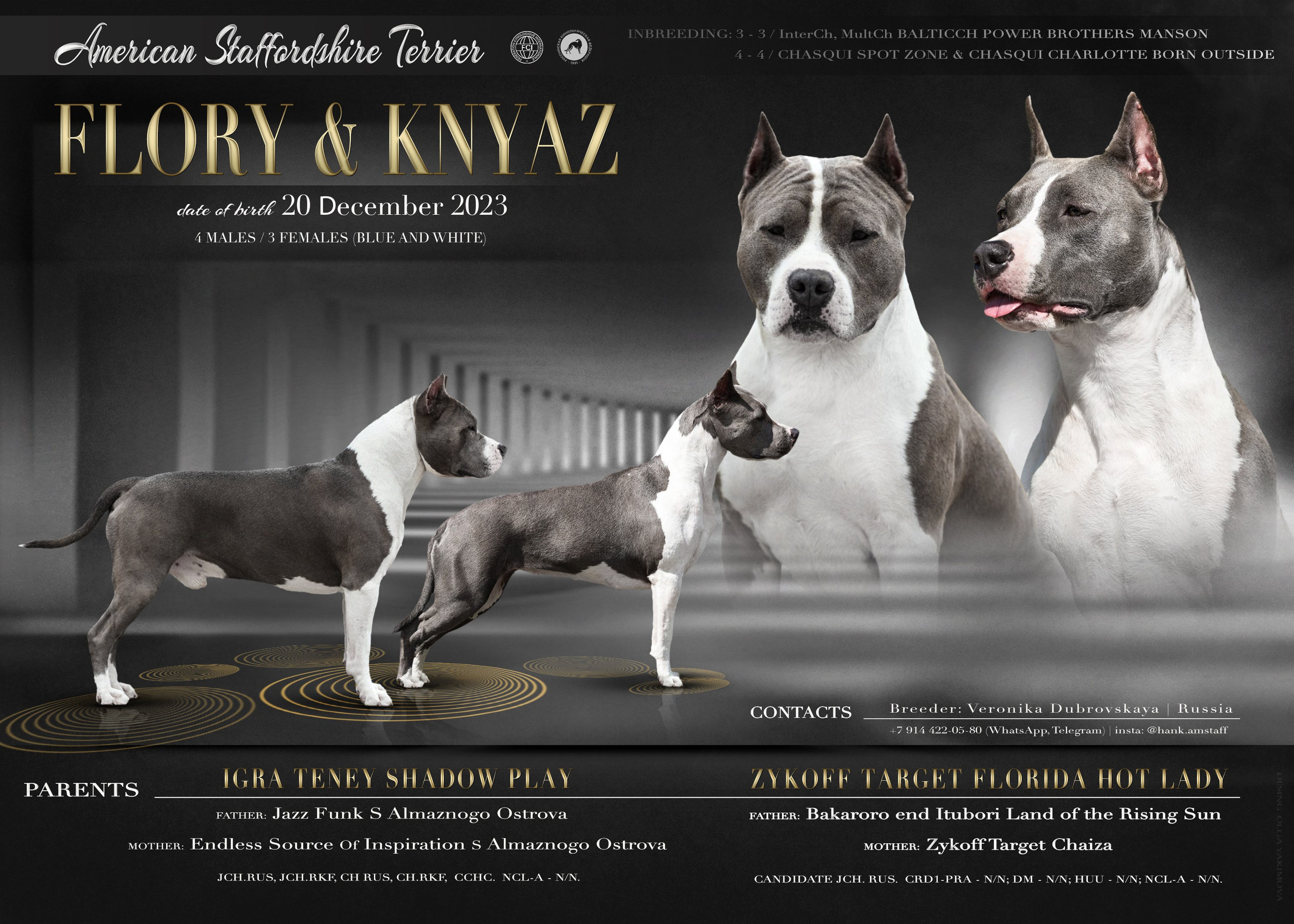 Animal presentation. Фотограф