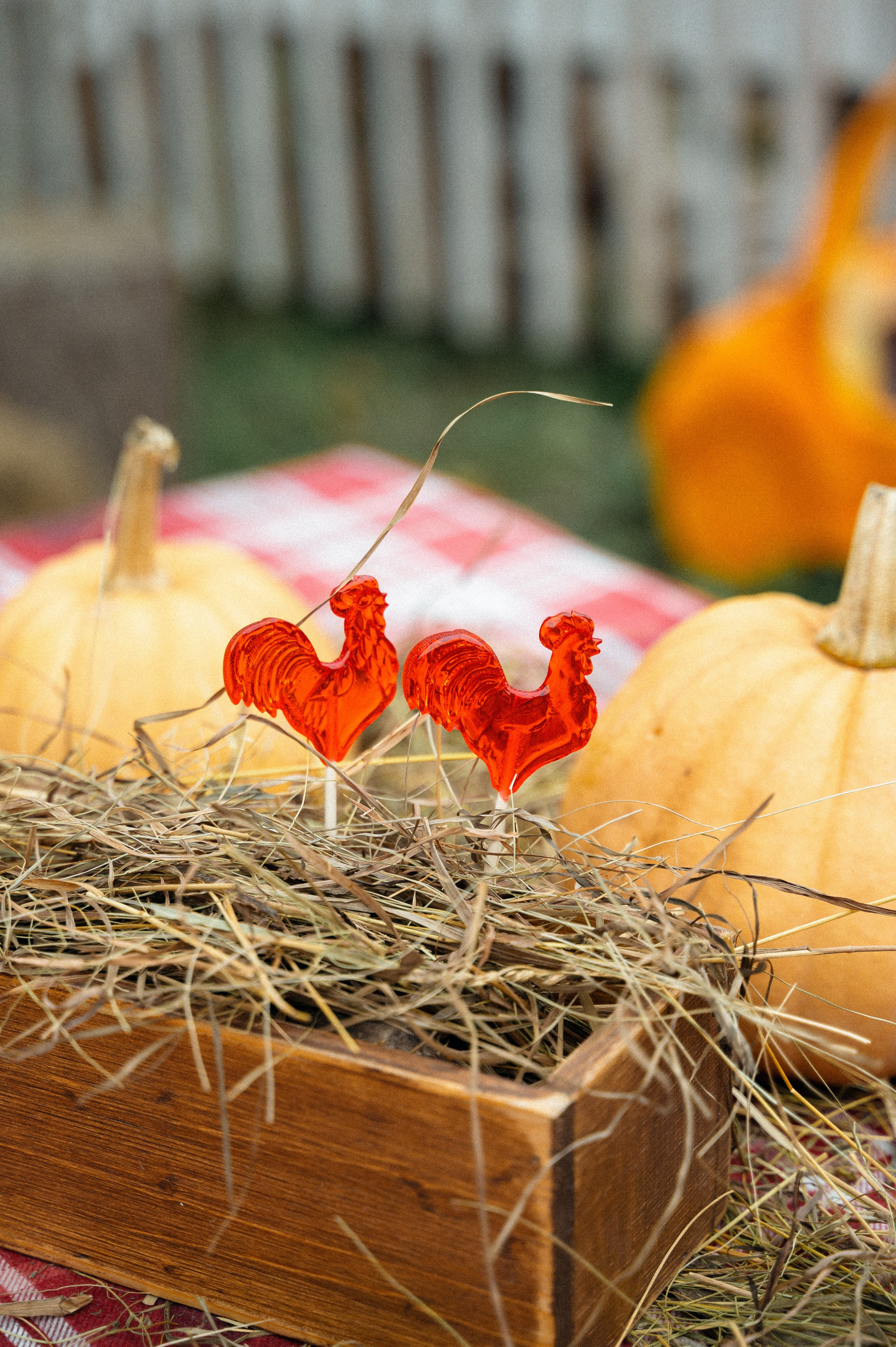 Алексей и его семья. Студия детской и семейной фотографии «Время улыбаться»
