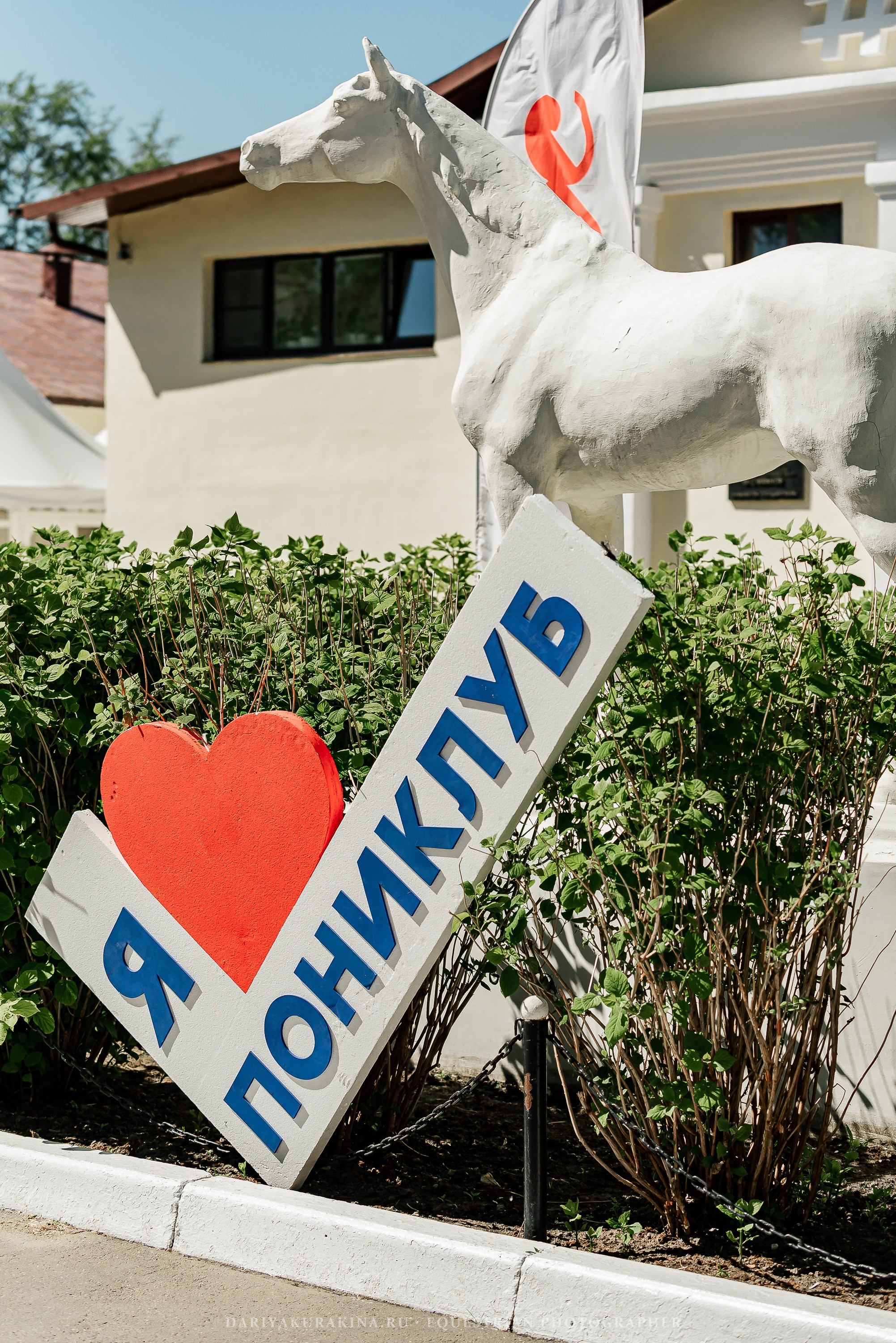 #ПОНИФОРУМ 2024. Конный фотограф Куракина Дарья • Фотосессии с лошадьми