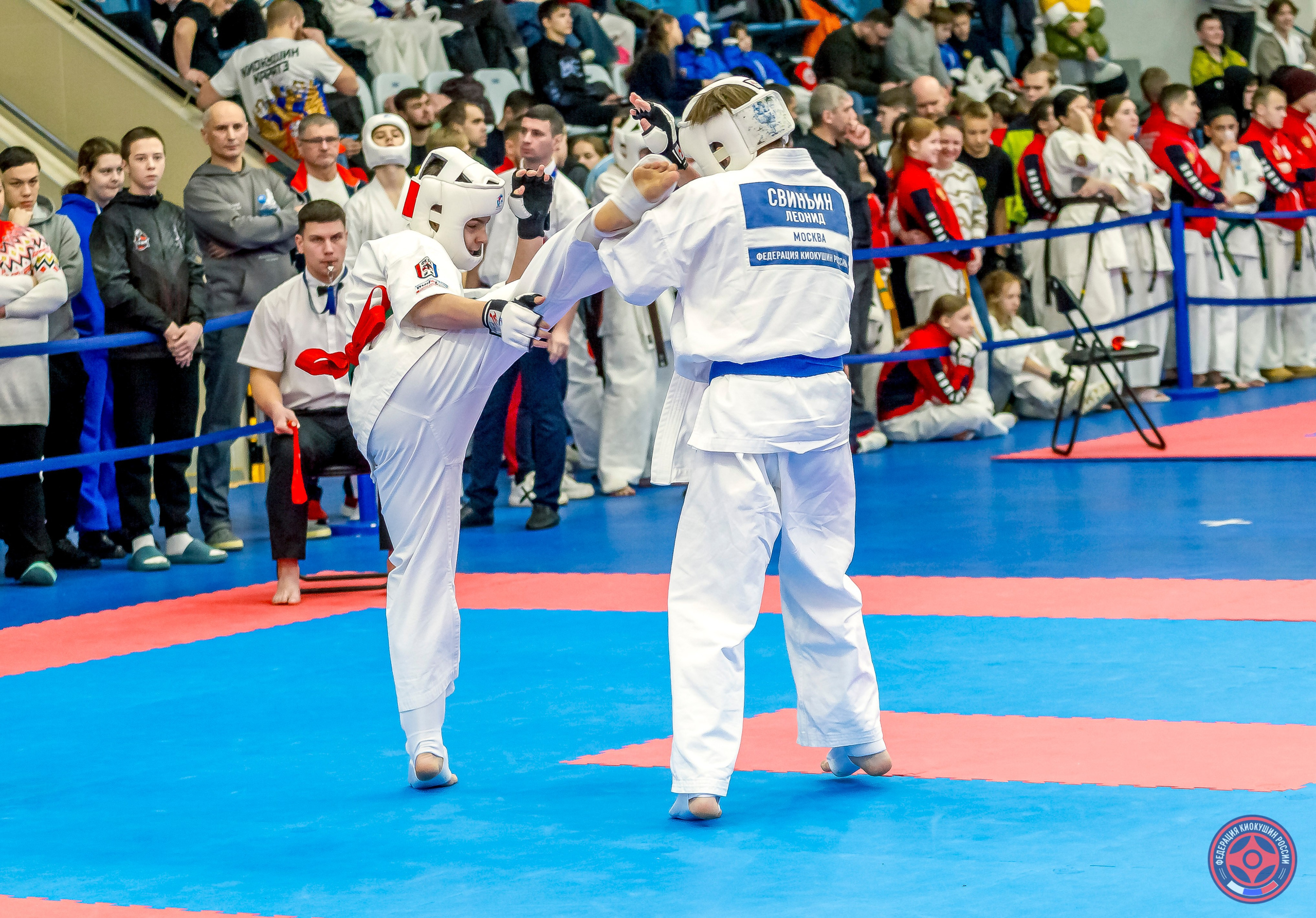 Международный турнир по киокушин «Открытый кубок Seiken». Репортажная съемка в Москве и области. Анималистика