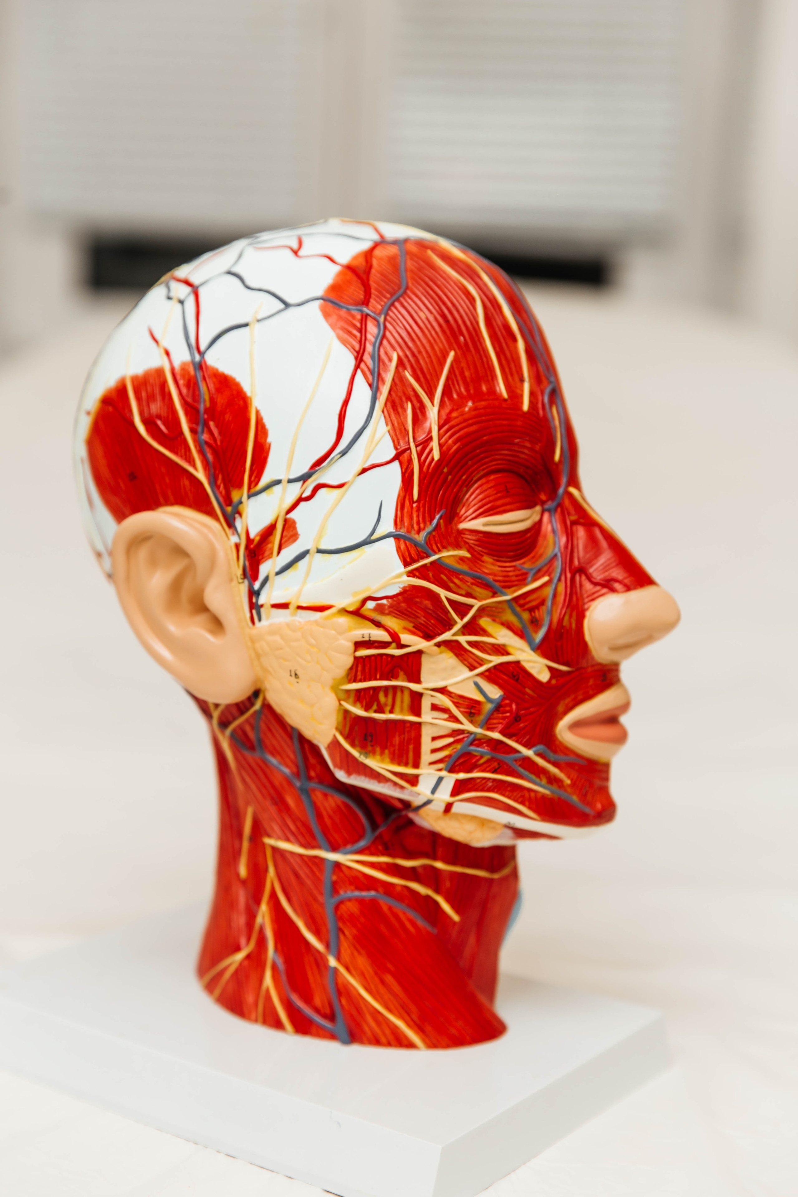 Салон красоты. Фотограф Абакумова Анастасия