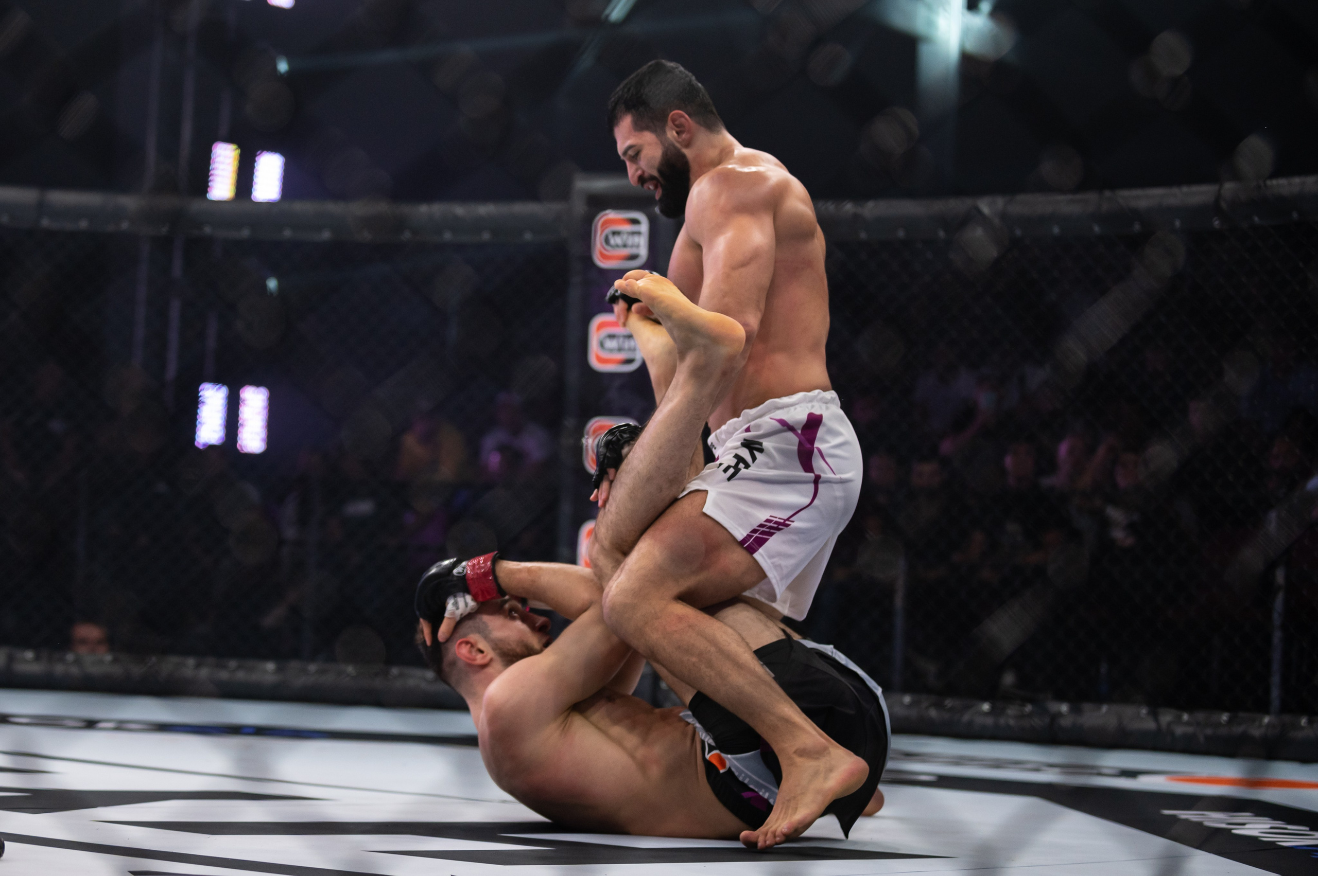 Бои. Репортажный фотограф в Красной Поляне и Сочи Павлюченко Екатерина