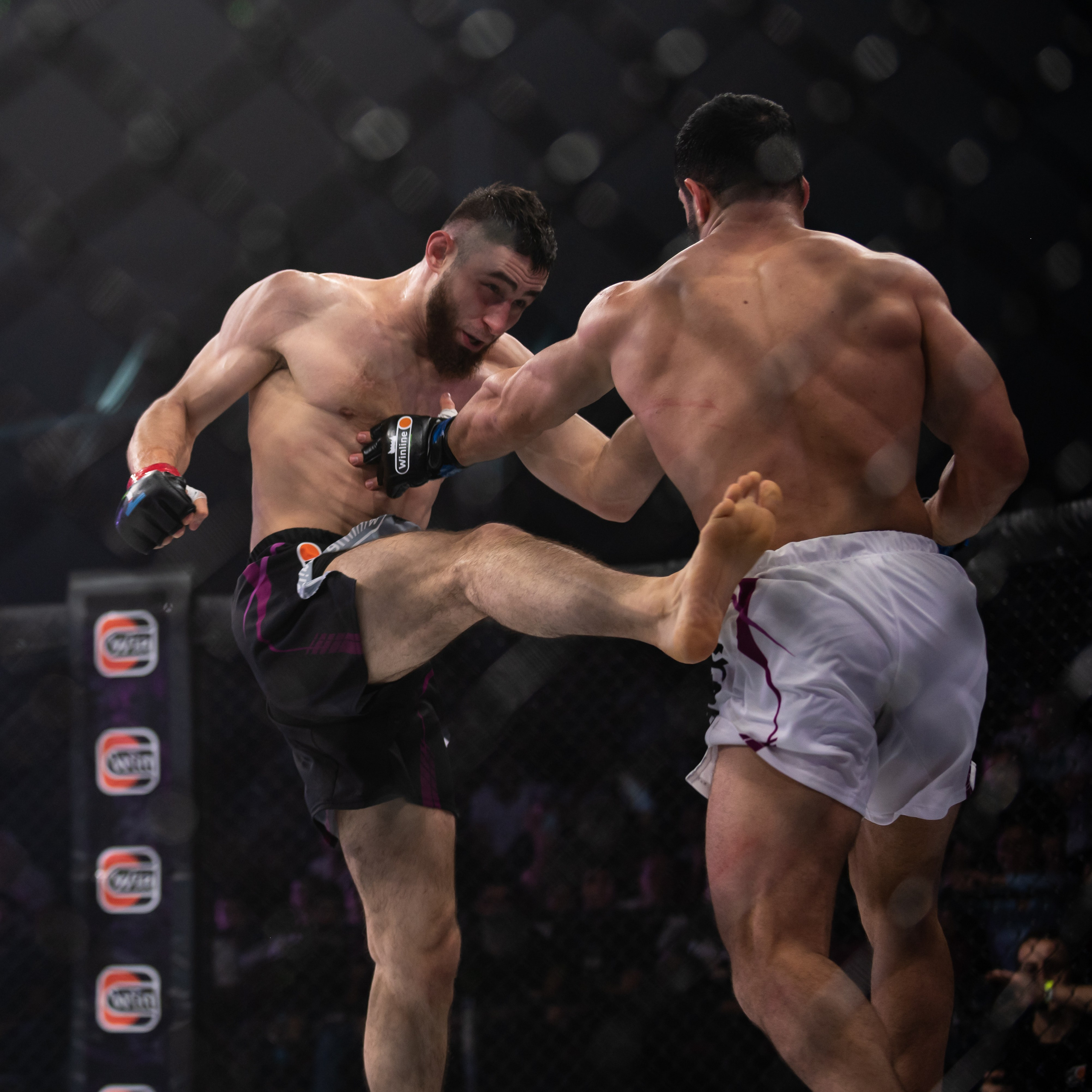 Бои. Репортажный фотограф в Красной Поляне и Сочи Павлюченко Екатерина