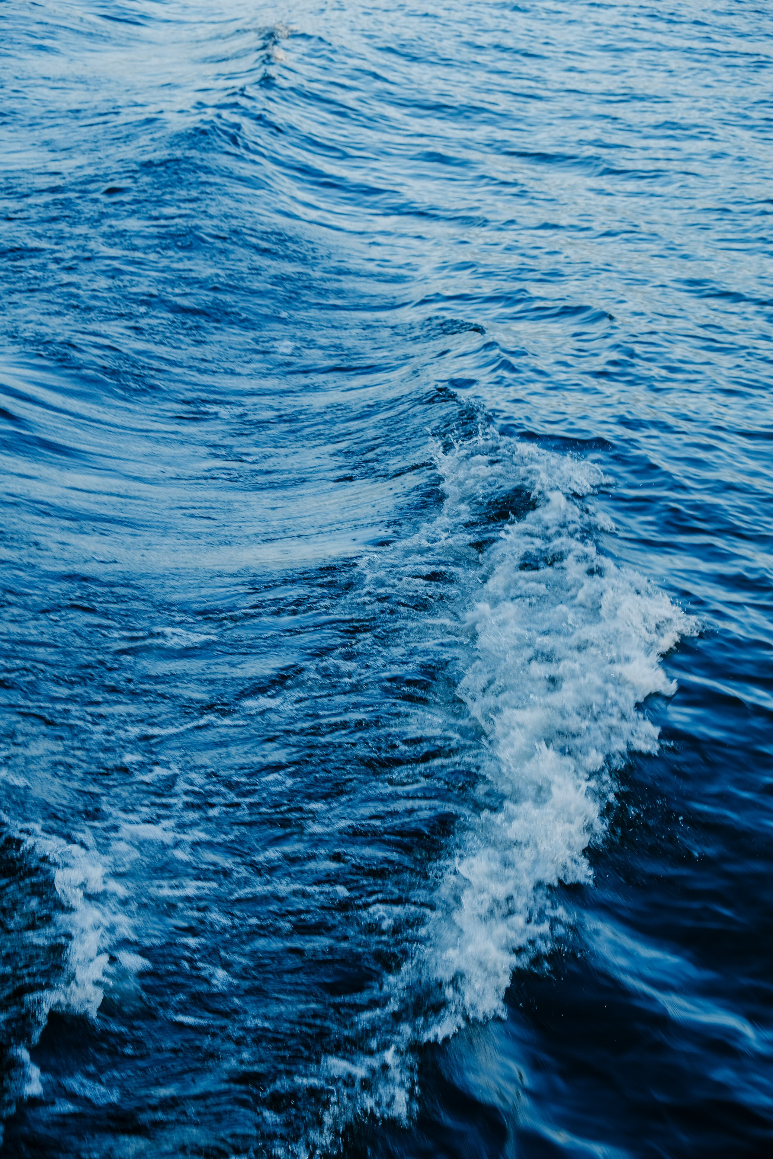 Фотограф в туре Света Сергеева