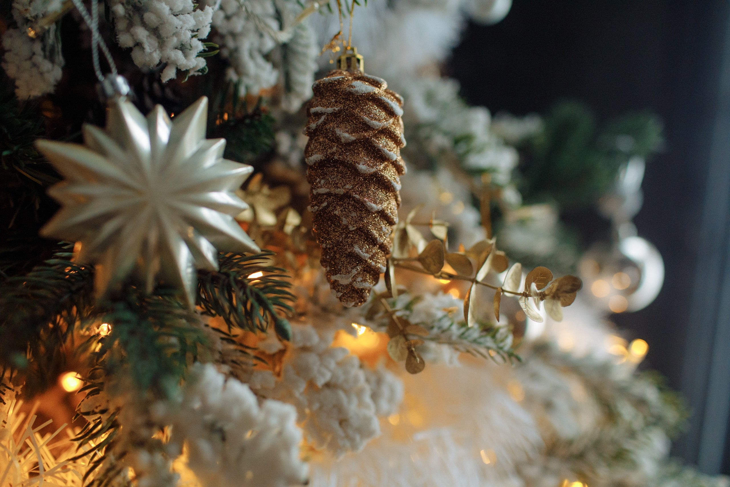 Новогодняя съемка. Свадебный фотограф в Ярославле Анастасия Архипова