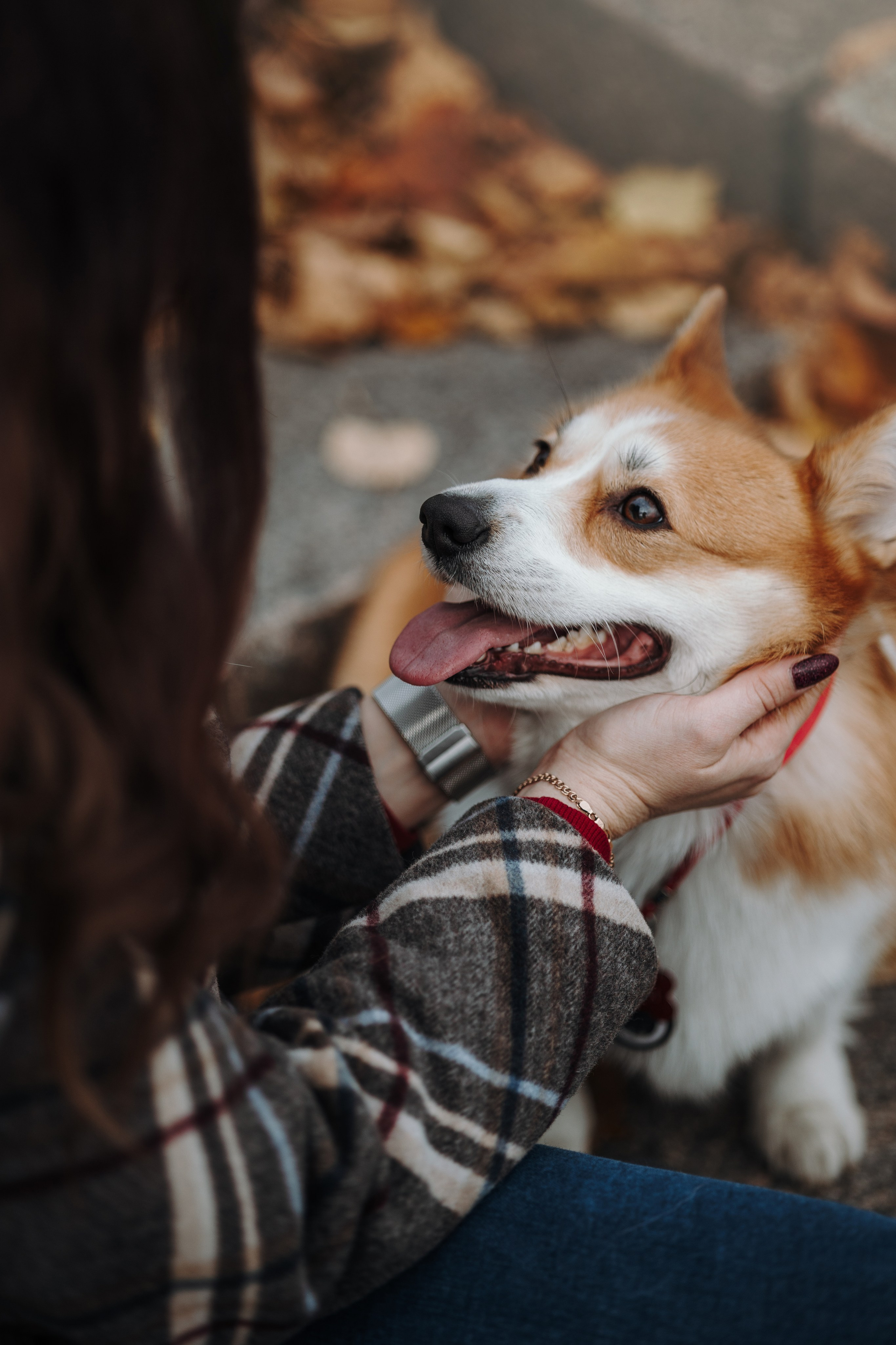 Юля и Терри. Фотограф — Анималист | Санкт-Петербург