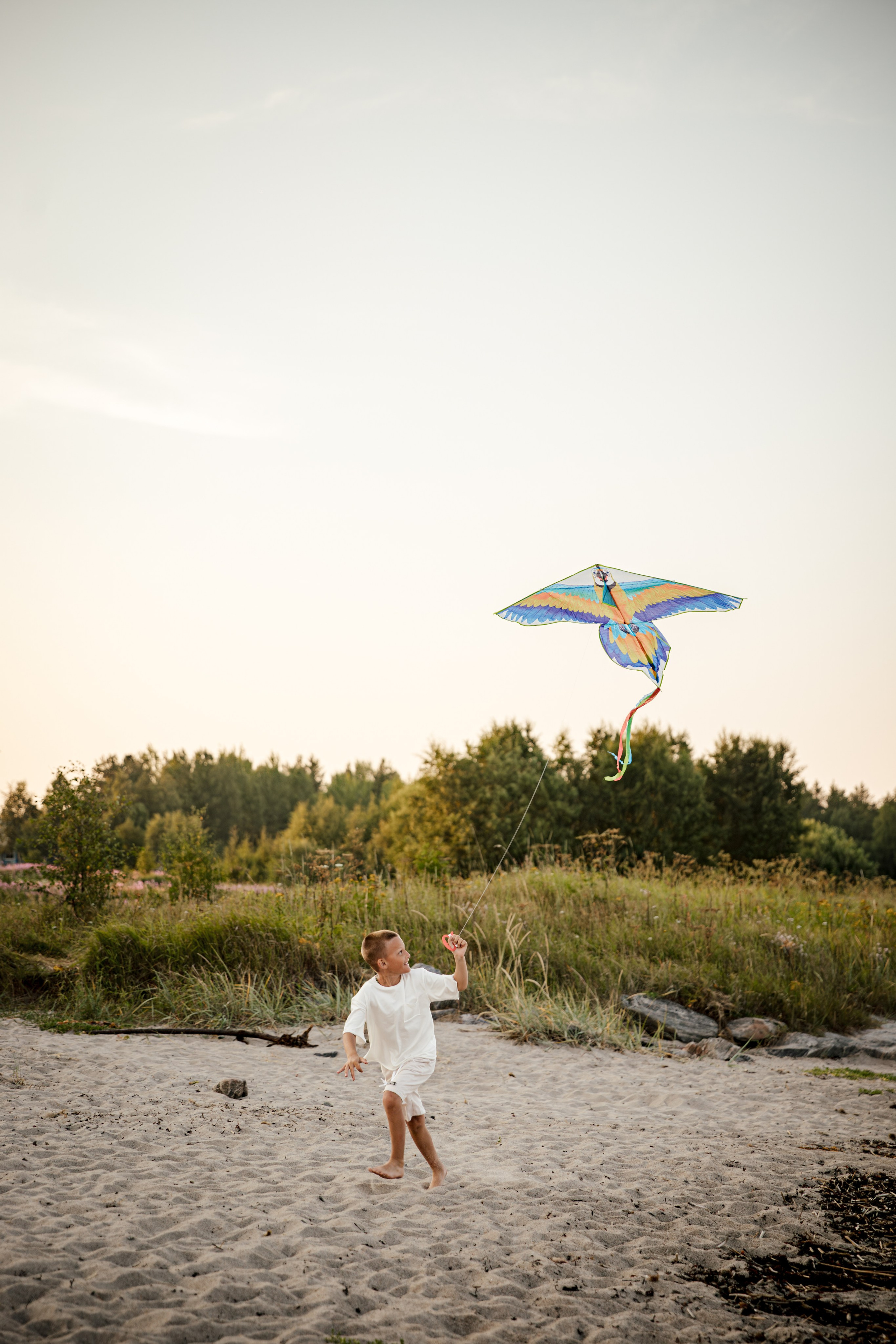 Семья Авраменко