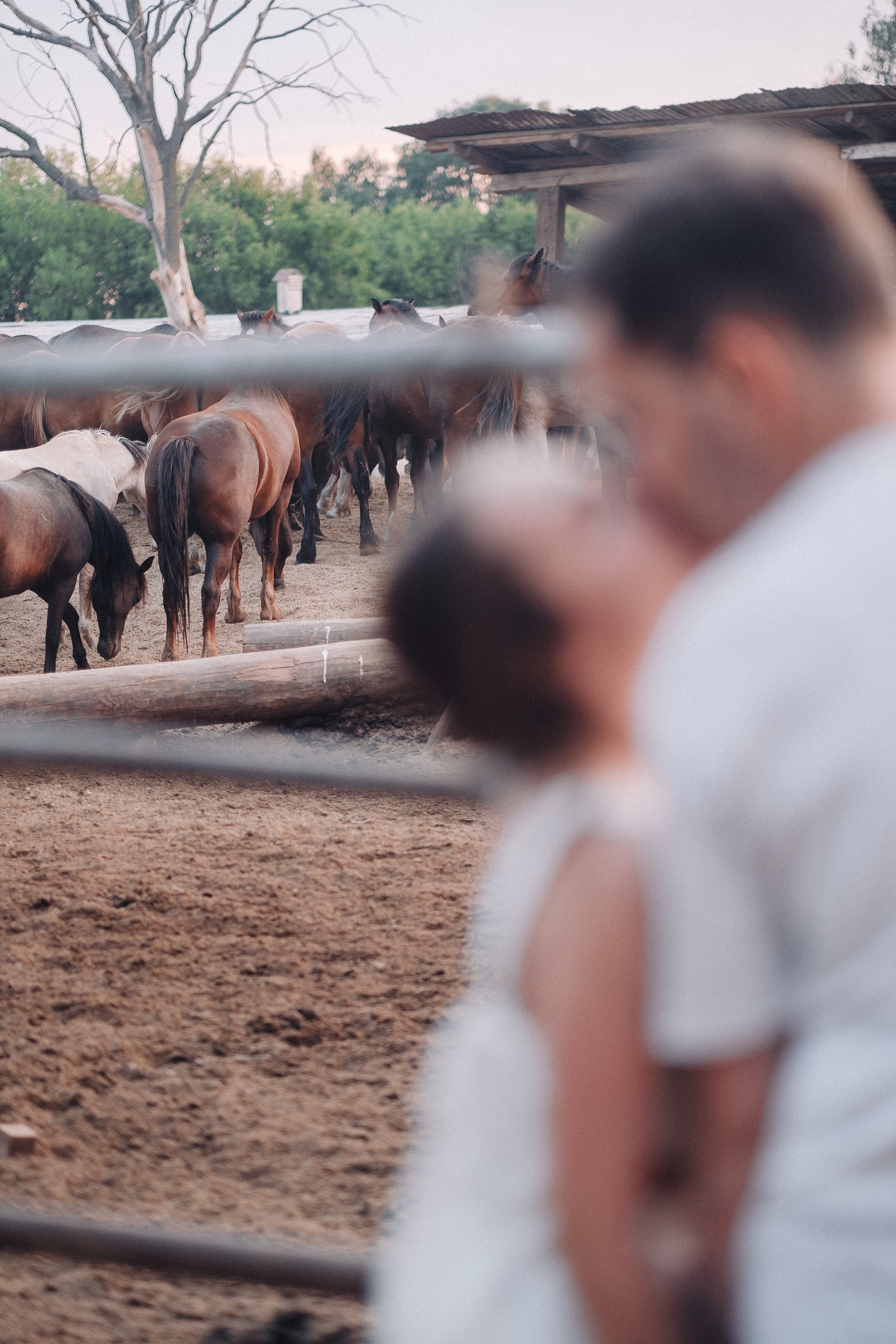 Саша & Таня. Свадебный и семейный фотограф в Казани и Зеленодольске Ланочкин Илья