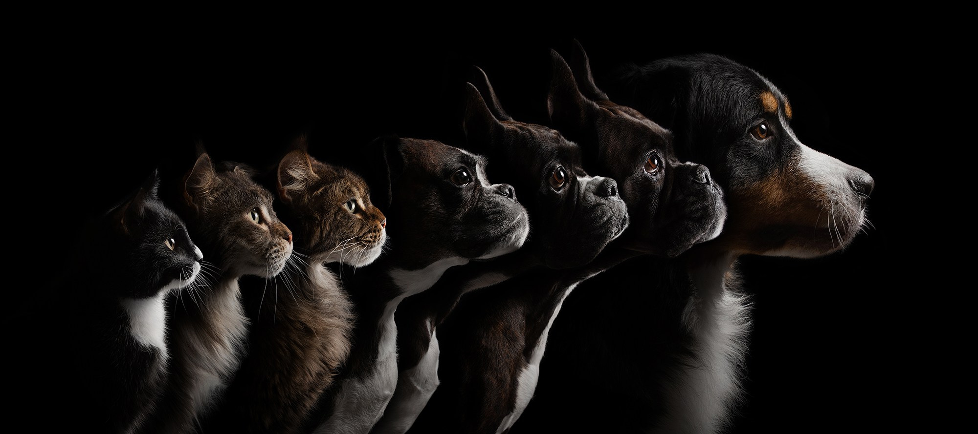 Проект портреты на чёрном фоне. Фотограф Анна Тюрина