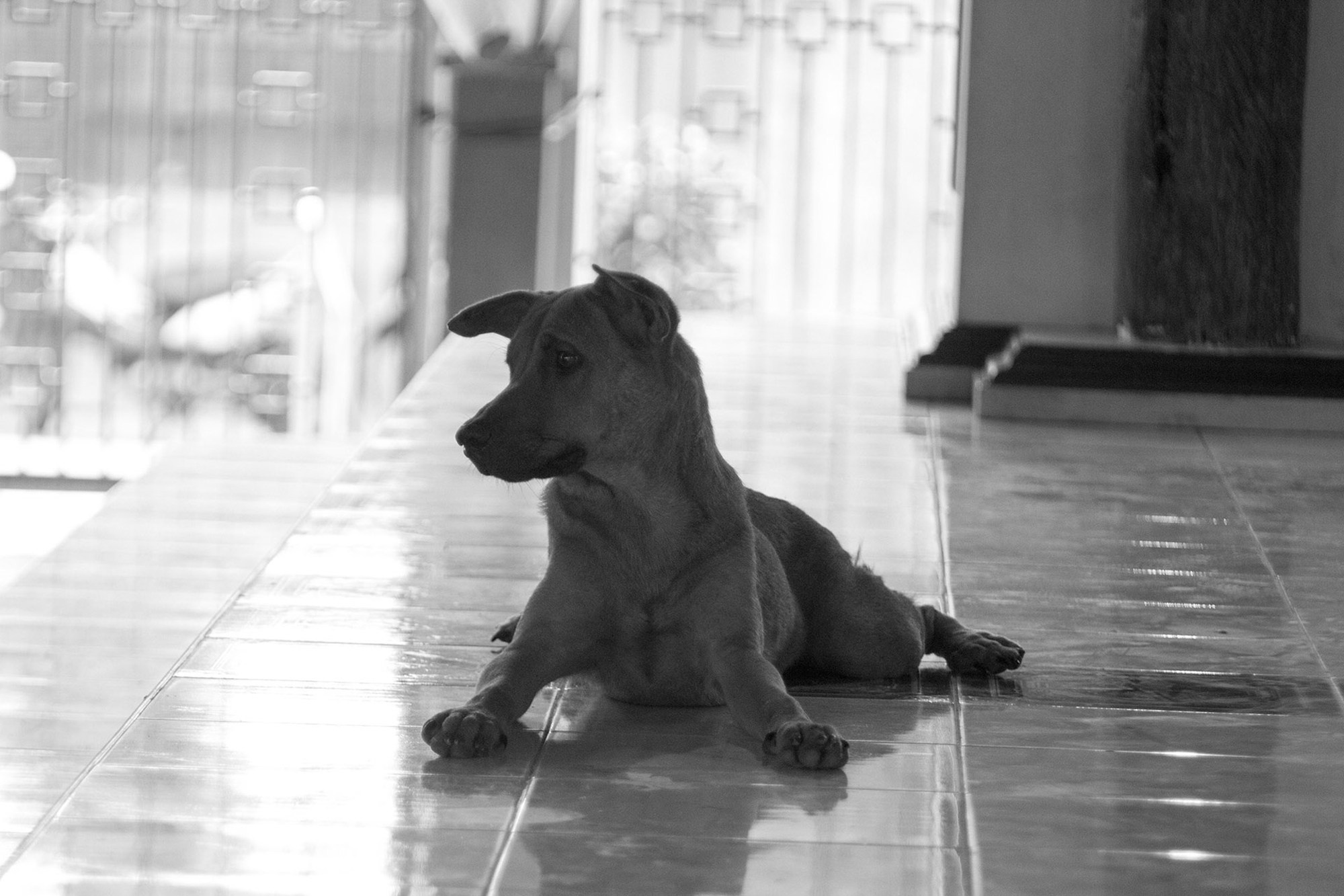 Фото и видео съемка мероприятия. Фото и видеосъемка