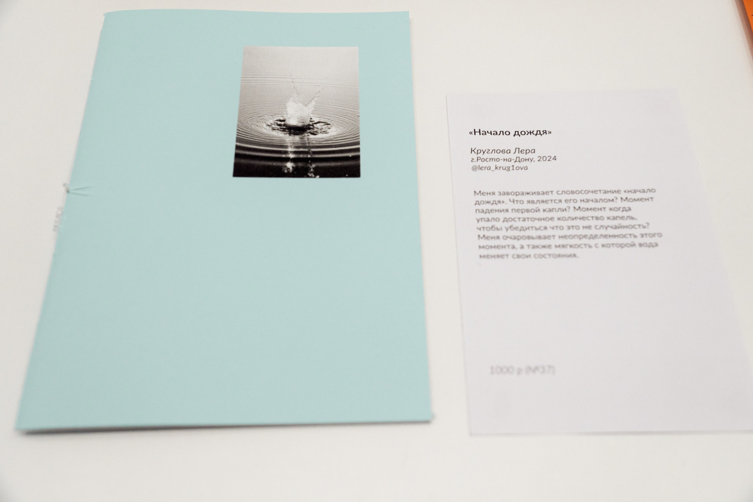 Разворот, фестиваль зинов, 27–29 сентября 2024, Дом архитектора, Воронеж. Лера Круглова