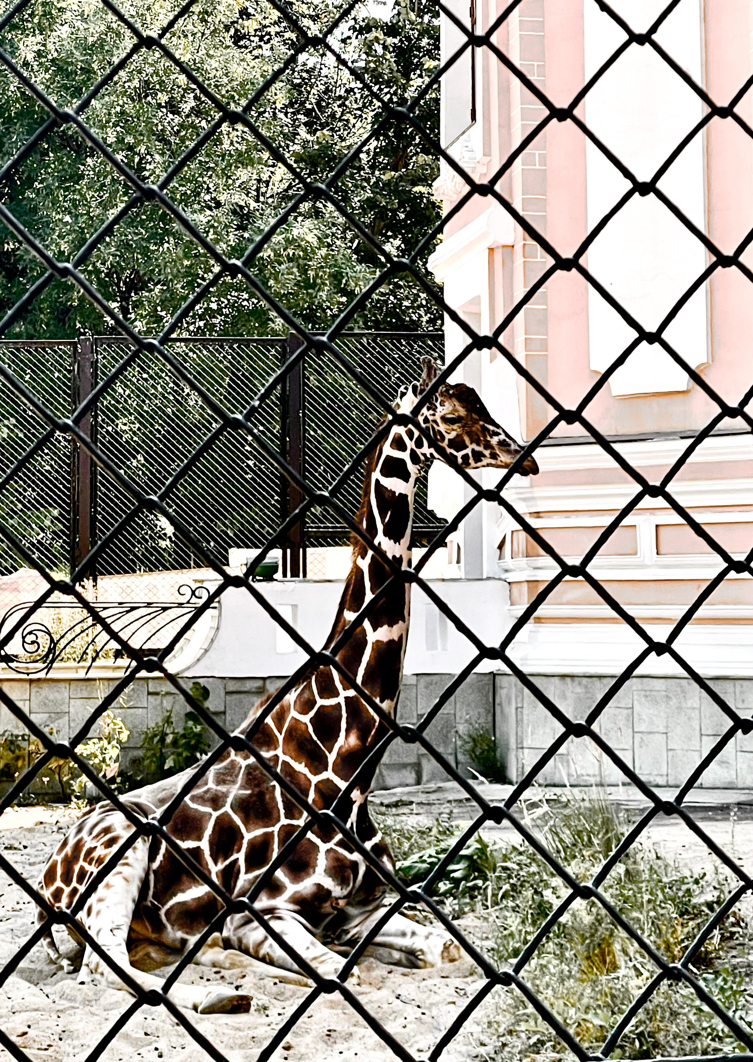 Фотограф Москва. Фотограф и художник в Москве Евгения Нюнина